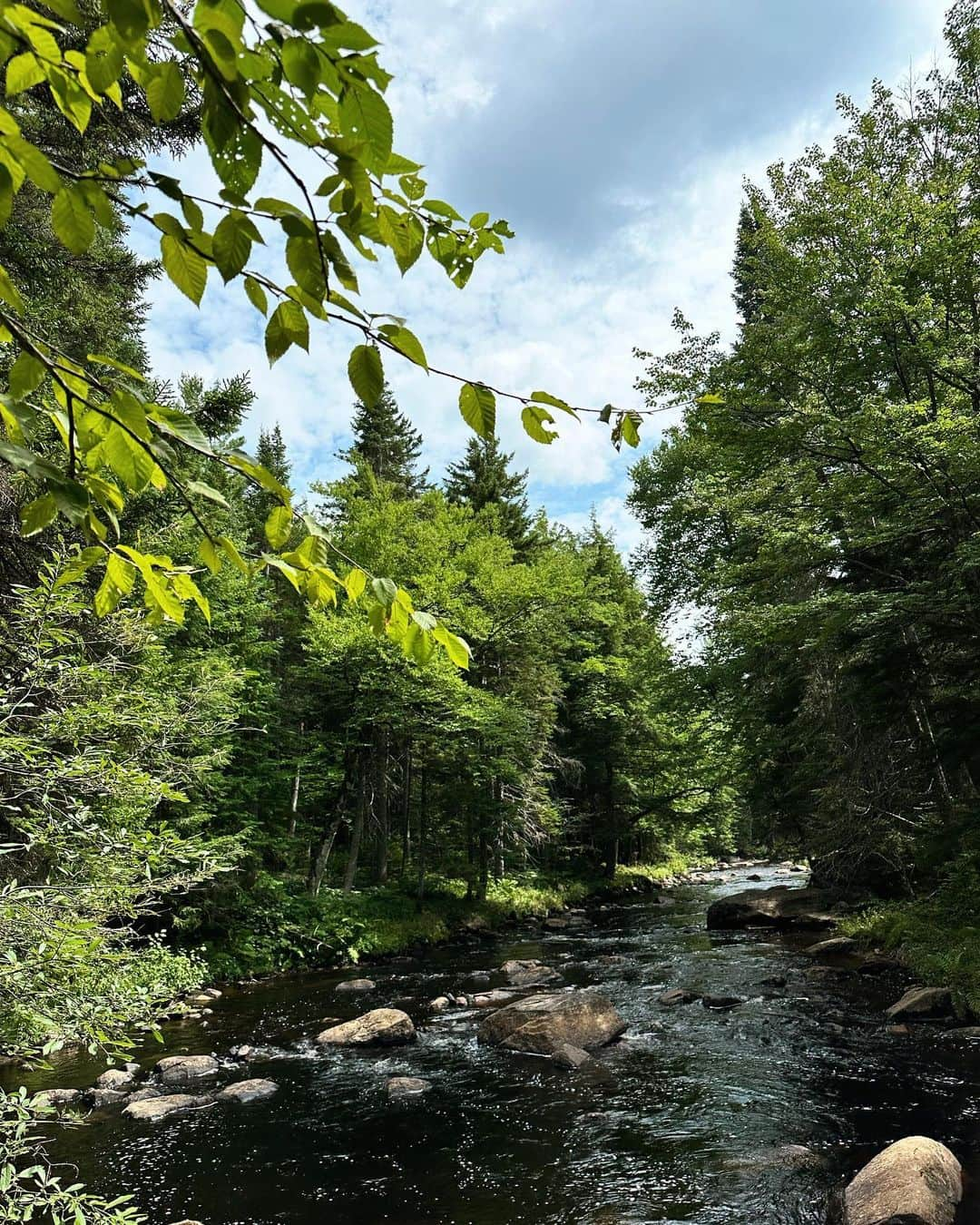 リズ・チェルカソワさんのインスタグラム写真 - (リズ・チェルカソワInstagram)「It seems like summer slipped through my fingers.   #hudsonvalley #hudsonnewyork #slowlifediary」9月3日 1時29分 - lateafternoon