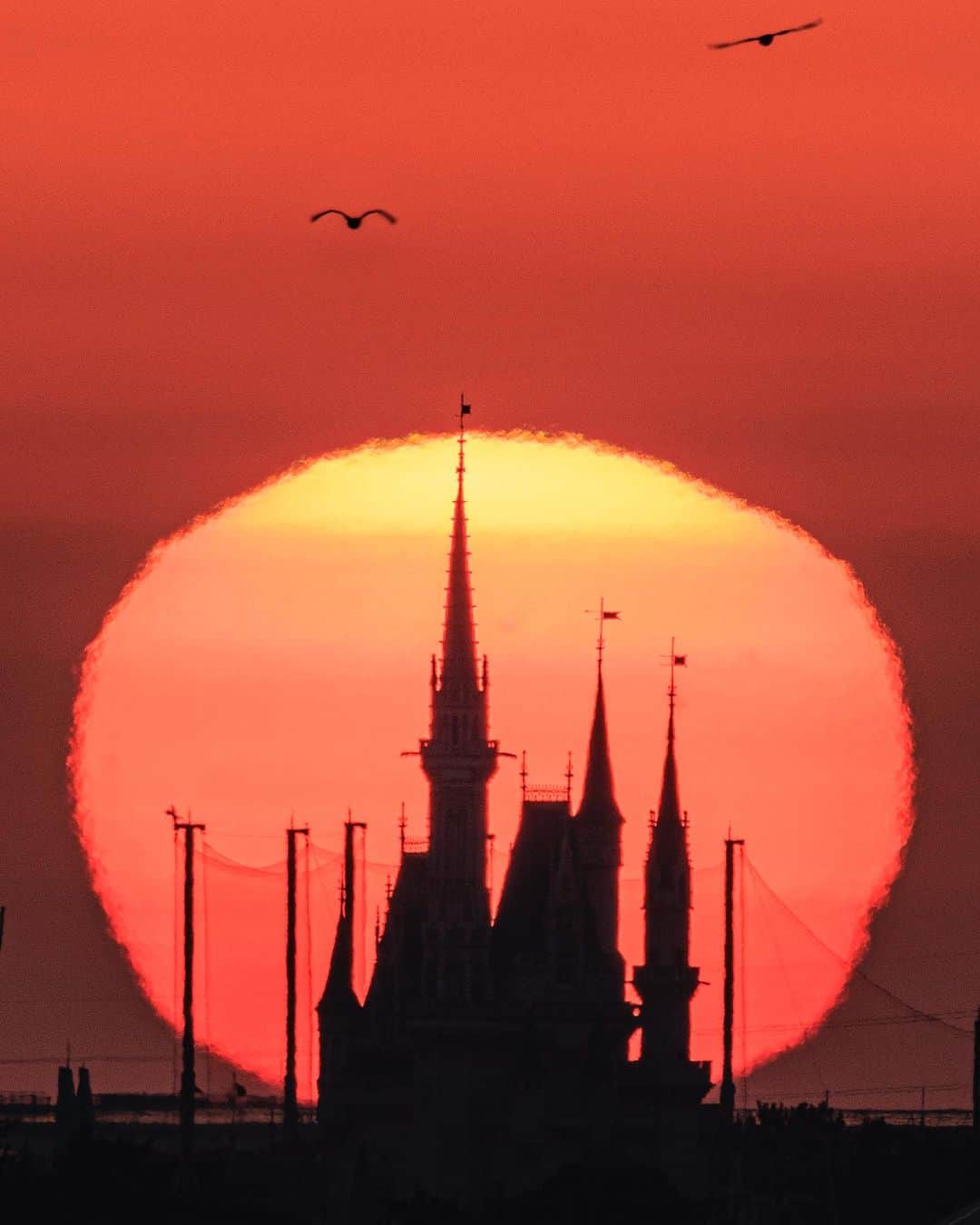 SHOCK EYEのグルメインスタ