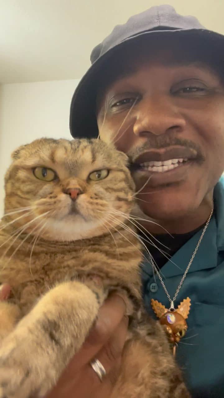 MSHO™(The Cat Rapper) のインスタグラム：「HAPPY CATURDAY!!!!! Is anyone going to say it back to us!?!? Or ARE WE ALONE!?!?!? WHOS GOING TO BE NICE!?!? WE LOVE YOU!!!! It’s OUR DAY!!! #TheCatRapper #Caturday #CatMan #CatMom #CatDad #MoGang」