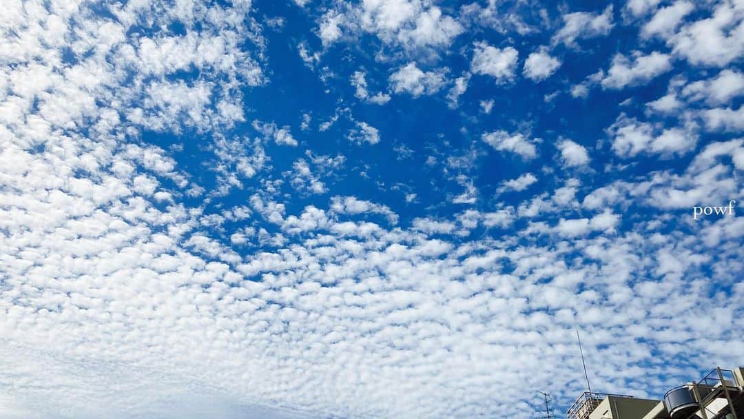 anemone_69のインスタグラム：「. . #うろこ雲 . 秋らしい雲の代表ですが 実は７月31日に撮った空でした😝 . 秋の空が楽しみ。 . . .」