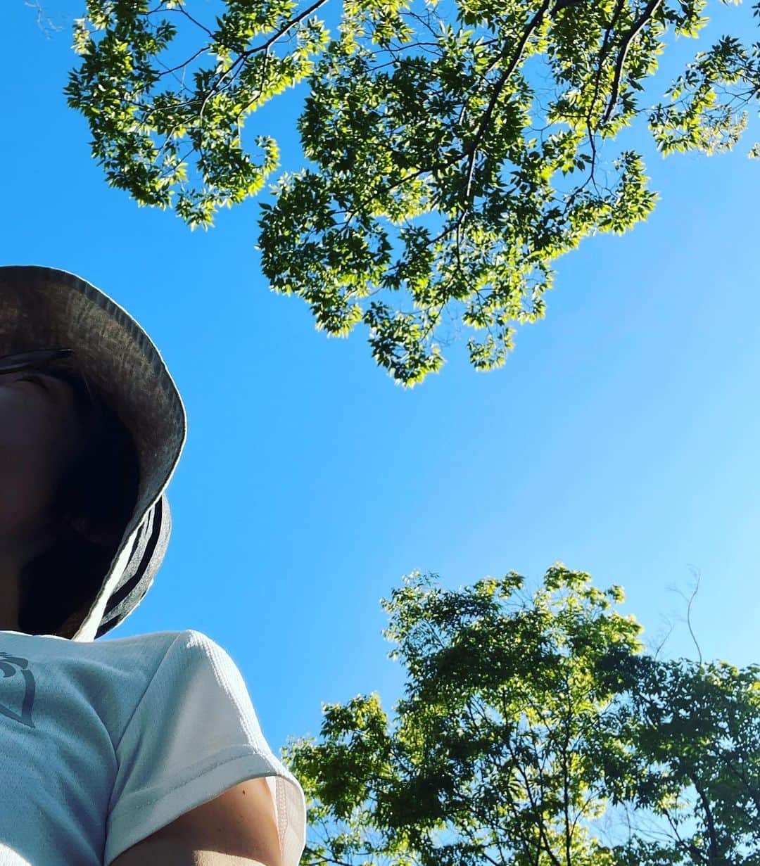 上田悦子のインスタグラム：「朝、歩き始めて １週間🌿  よい時間です〜✨  #朝ウォーキング #色々すっきりする☀️ #無理なく続けたい👟」