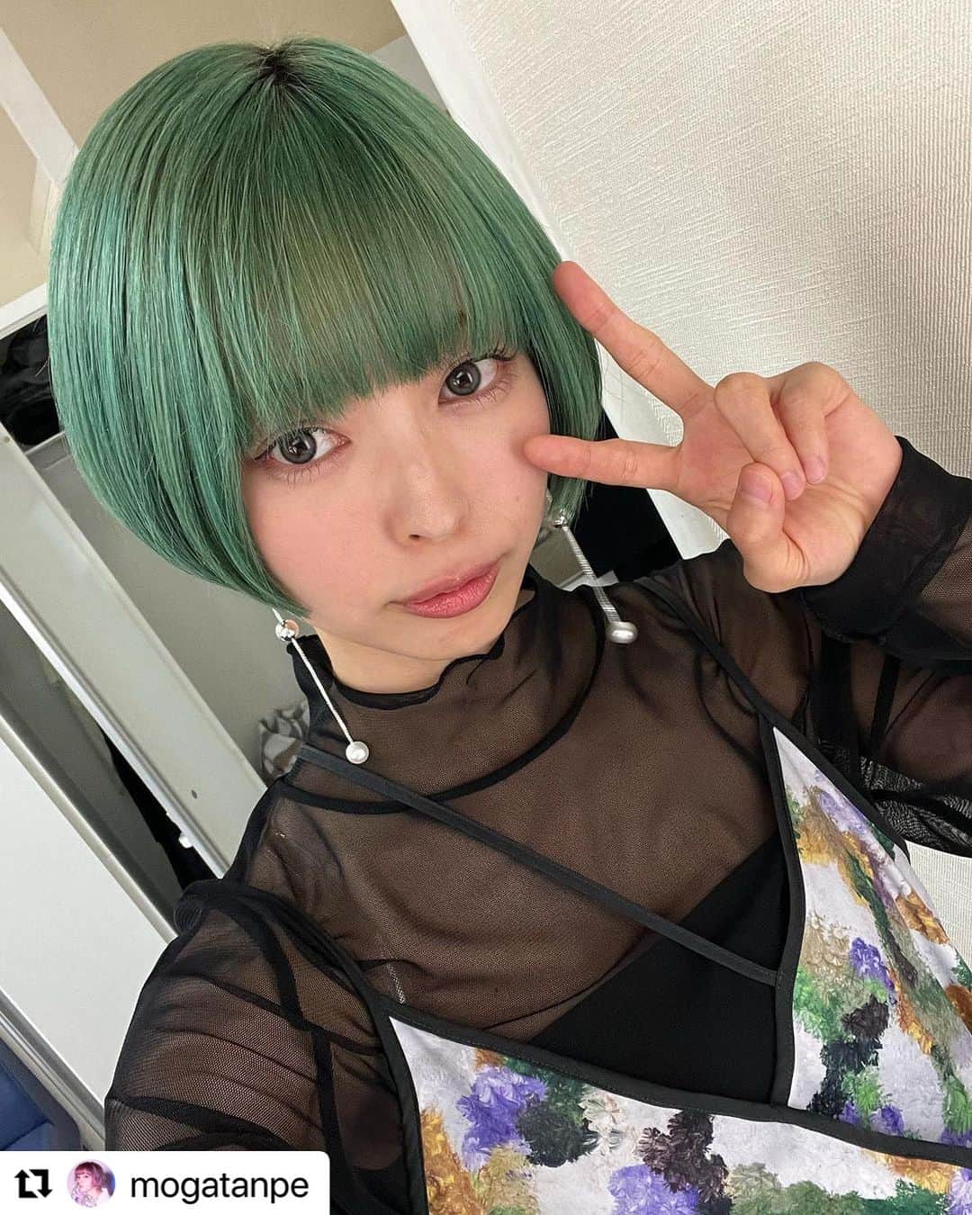 柏木作夢さんのインスタグラム写真 - (柏木作夢Instagram)「【ワイドナショー】 本日10:00-11:15放送🌏  MOGAちゃんの衣装、担当しました👗✨  さすが！ 似合ってるー🤝  #サムズポイント #最上もが　 #ワイドナショー #スタイリスト #柏木作夢 #SAMUKASHIWAGI #緑  #Repost @mogatanpe with @use.repost ・・・ あす、9/3(日)10:00〜11:15 フジテレビ『ワイドナショー』 コメンテーターとして2回目の出演です！  めちゃくちゃ緑🌳  思い返すと、あの発言は違う解釈されてしまうかも、とか わかりやすく誤解されないよう伝えることって 凄く難しいな、とか 変に切り取られないといいな、とか すでに色々反省しておりますが…  (そもそもコメント使って頂けるかは謎ですが😂)  ぜひ見守って頂けるとうれしいです！！  今後の放送🌱  9/6(水)21:00〜 日テレ『上田と女が吠える夜』  (再放送)9/8(金)22:30〜23:00 NHK『バリバラ』  恋するアテンダーも見逃し配信があと4日です！ AbemaTVでどなたでもみれるので そちらもよろしくお願いします🙏」9月3日 8時43分 - samukashiwagi
