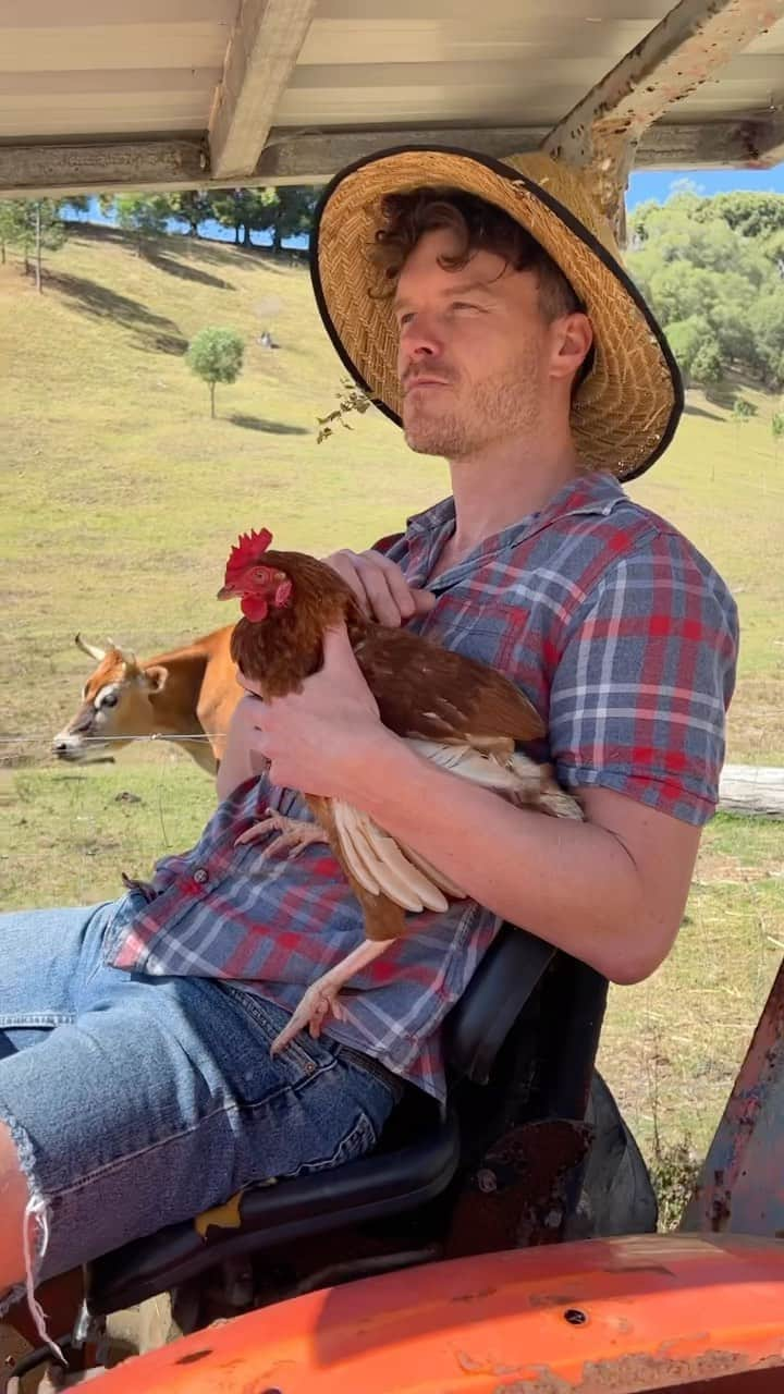 アラン・ディクソンのインスタグラム：「Find it all at the @owlandpuscatfarmsanctuary   Plus their latest reel post has a giveaway competition, go read their caption if you want to enter. #rescuefarmanimals」