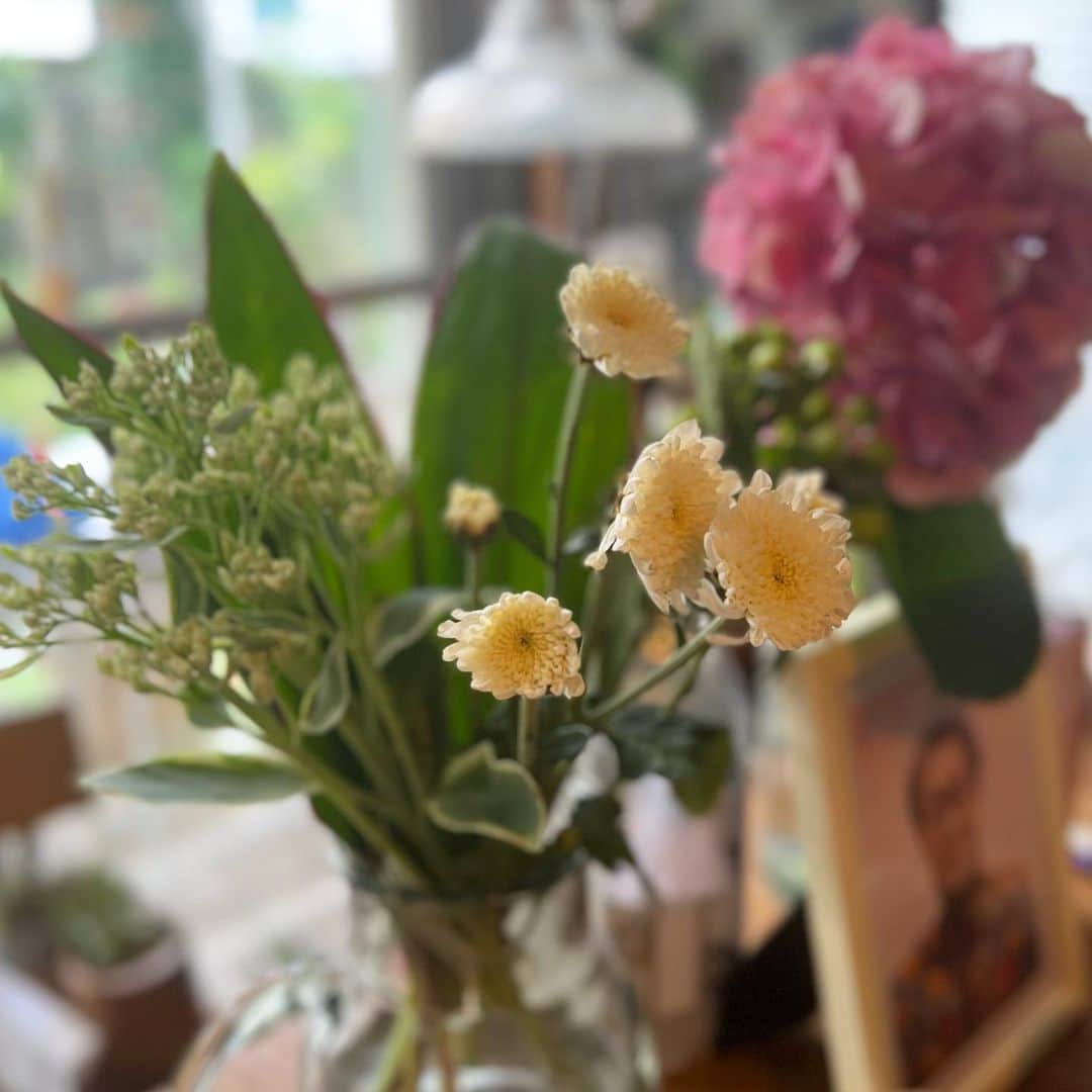 山田稔明さんのインスタグラム写真 - (山田稔明Instagram)「母親の四十九日、花とお酒をお供え。」9月3日 11時00分 - toshiakiyamada