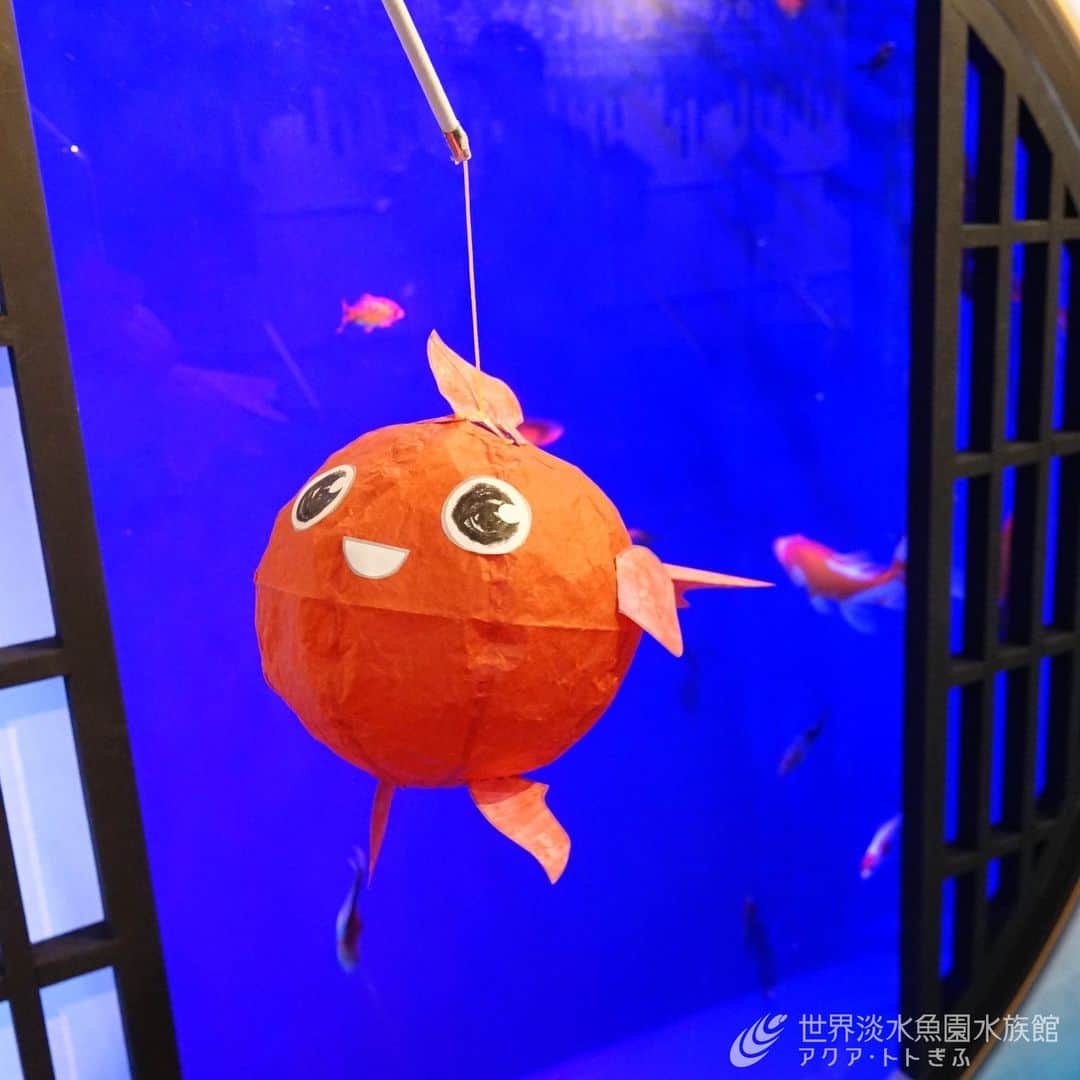 世界淡水魚園水族館 アクア・トト ぎふのインスタグラム
