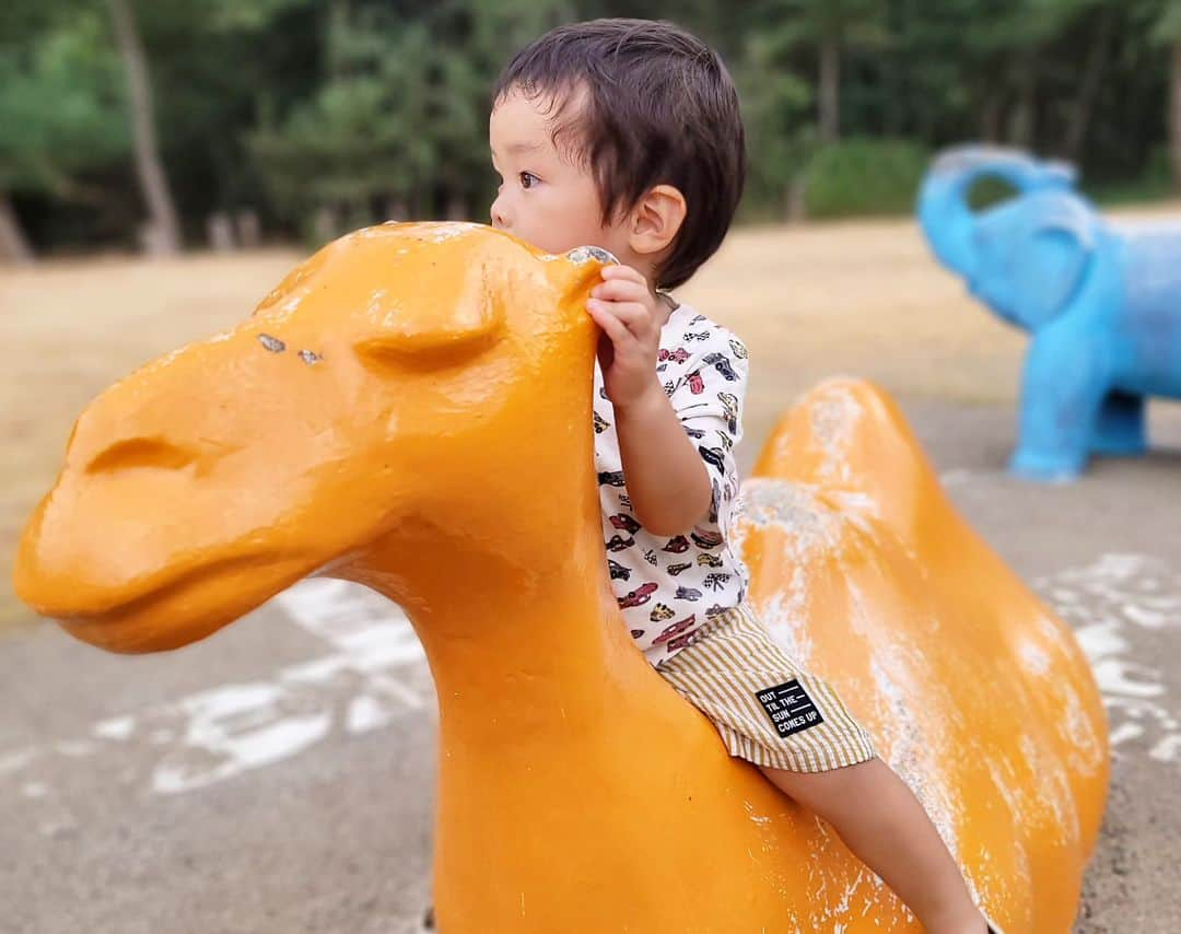 石関友梨さんのインスタグラム写真 - (石関友梨Instagram)「やっぱ海ってイイね🏖⁡ ⁡疲れも悩みも全部吹っ飛んじゃうくらい癒されました💓⁡ ⁡⁡ ⁡海無し県なので海見ただけで⁡ ⁡感動＆自然にテンション上がりました⤴︎⁡ ⁡⁡ ⁡弾丸新潟ツアーだったので⁡ ⁡各所短い時間でしたが⁡ ⁡色々行きました🐟 ⁡⁡⁡ 🌼星野屋(クレープ屋さん)⁡⁡ ⁡🌼間瀬サーキット ⁡🌼マリンピア水族館⁡ ⁡🌼⁡西海岸お城公園 🌼関屋浜海水浴場⁡ ⁡🌼ラーメン丸子屋(群馬沼田市)⁡ ⁡ ⁡モンスターエナジー⁡ ⁡ひっさしぶりに飲んだら⁡ ⁡効き目抜群すぎてなかなか頑張れた😂⁡⁡ ⁡⁡⁡ ⁡ #新潟旅行  #星野屋 #間瀬サーキット #新潟水族館  #マリンピア #水族館 #お城公園 #関屋浜  #ラーメン丸子屋 #弾丸旅行 #日本海 #海鮮丼  #新潟グルメ  #誕生日旅行」9月3日 11時20分 - yurimorico