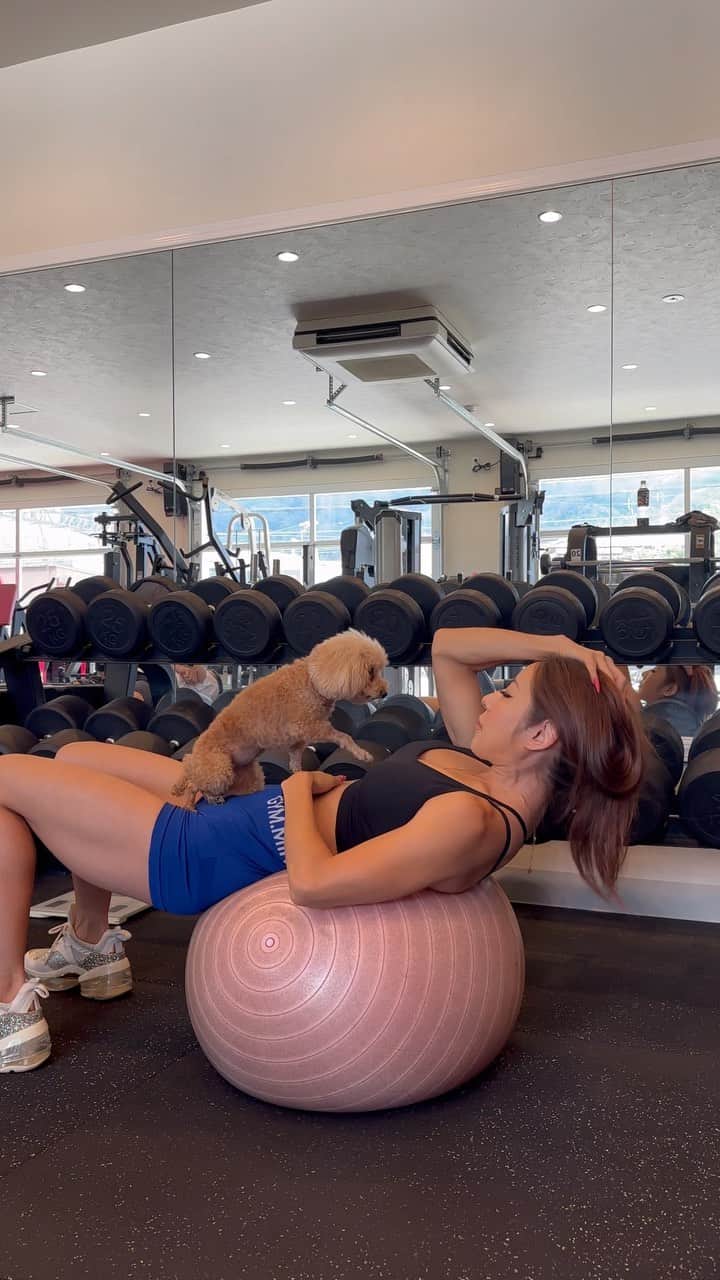 MANAのインスタグラム：「workout with dog🐶 #absworkout ココちゃん🥰  #gymmotivation #abs #healthylifestyle #doglover #toypoodle #トイプードル #里親 #ペットショップへ行く前に里親になる選択を」