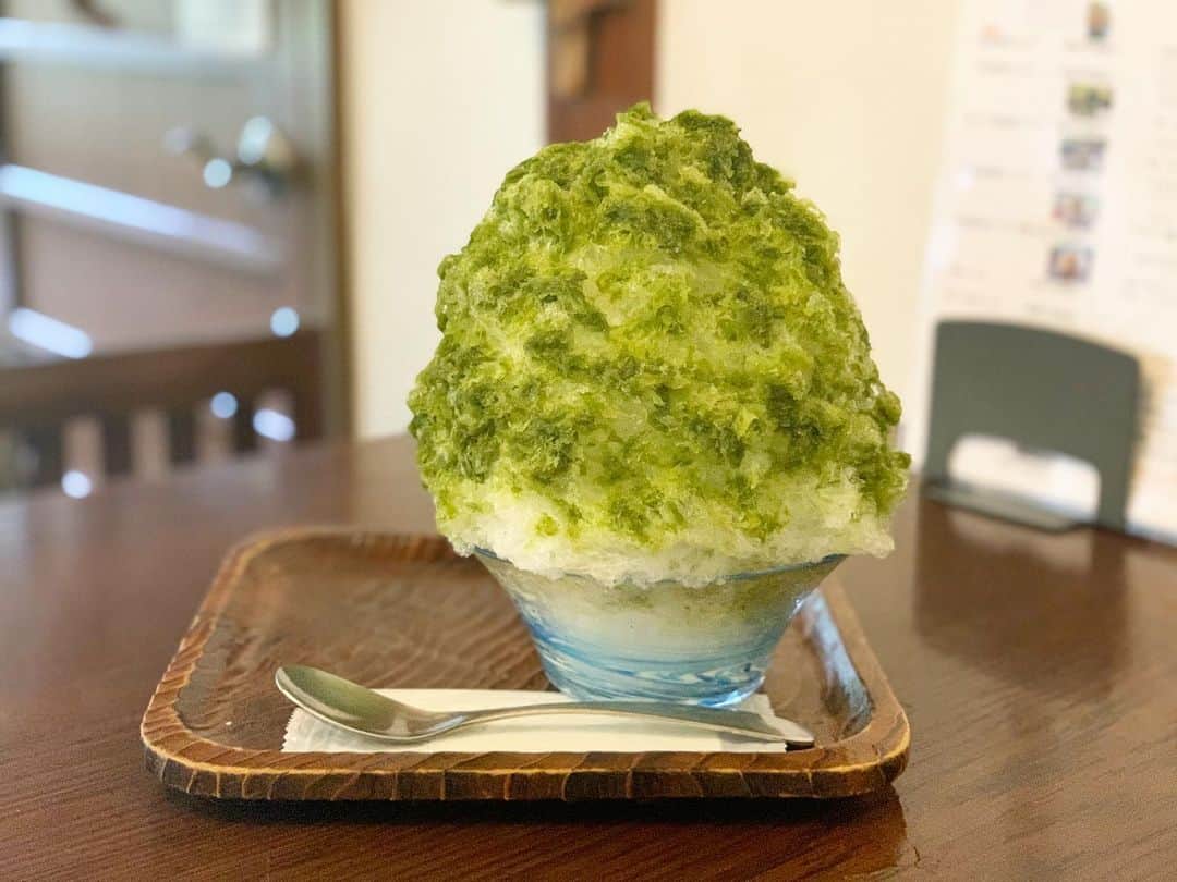 原田麻子のインスタグラム：「煎茶ミルク  抹茶じゃないよ、煎茶だよ  ほうじ茶、玄米茶、と食べたので煎茶。美味しい〜  抹茶ほど濃くなくて、爽やかで、香り良いところも好き。  中のミルクアイスは小さいんだけどデフォでどの氷にも入る、ので、抜きにしています  #かき氷#かき氷🍧#おやつ#ごはん#sweets#shaveice#神奈川」