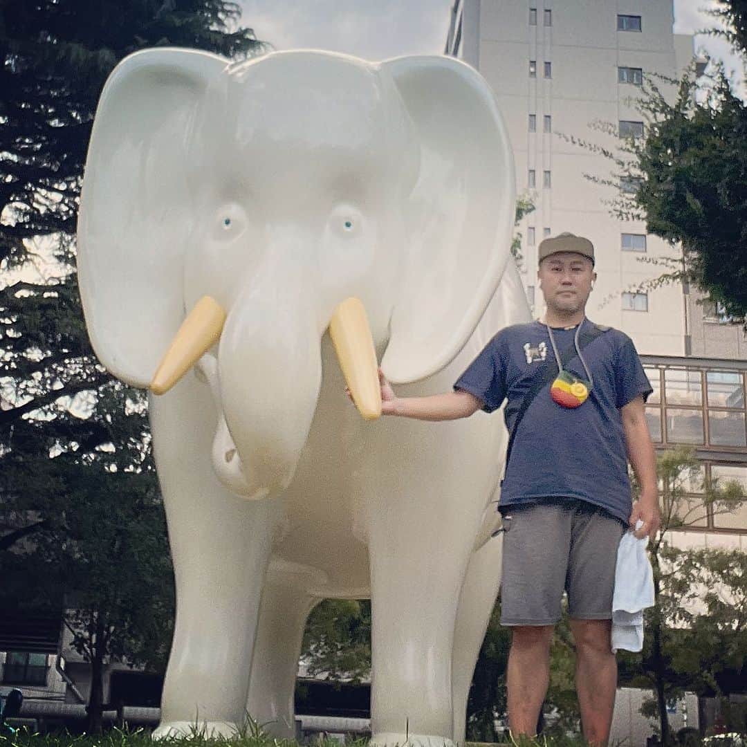 のインスタグラム：「一三と像。」
