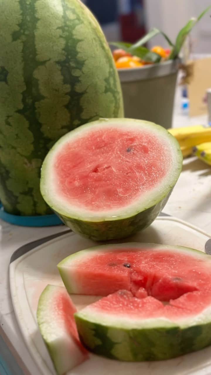 のインスタグラム：「it’s a bold statement, but I’m gonna go ahead and say this is the finest melon I’ve had the privilege of growing so far…  I’m not any kind of an expert… this melon was wedged under my fence, which is why one half is larger than the other! But after discovering that my previous giant melon was not quite ripe, I watched this one very carefully, and I am so thrilled that it’s this delicious! I wish i could share with all of you.   I cut it open during last nights live stream concert, and I’m going to go ahead and play another one this coming Saturday – if you missed it and you want to join us you can set your reminder right here in this post. or grab your tickets and find all my upcoming shows at the link in my bio. @stageit   One thing I have learned that the rampant crab grass that I have fought so hard in previous years actually helps to protect the vines from the harsh sun, while giving the melons a chance to ripen. when I weeded around my honeydew vine, it actually died because it was so hot.  also, in terms of fertilizer, I use a thick layer of mushroom compost over the winter months, like January to March, to let the nutrients soak in. Then mix it into the soil before planting the seeds direct, or seedlings if I start them indoors.   Aside from that, this whole season I have only used one application of Jobe’s organic fruit and vegetable fertilizer. #homegrownfood #urbanfarming #homegrownwatermelon #amateurfarmer」