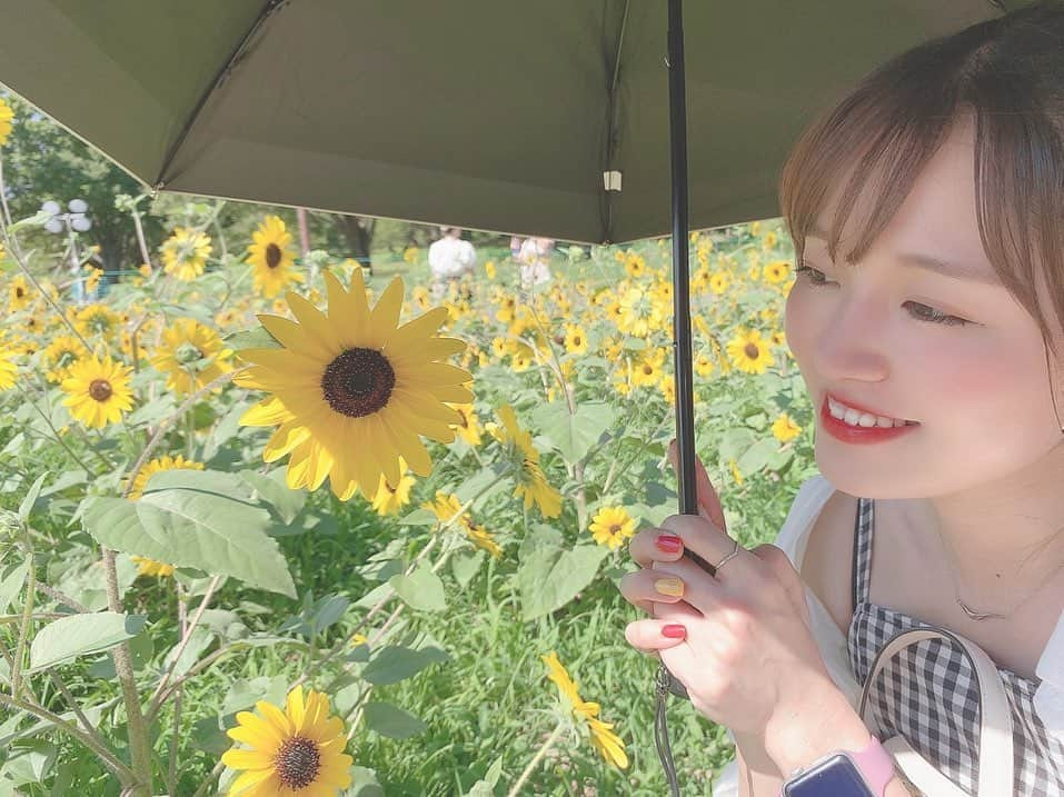 Riicoのインスタグラム：「が！しかし！！ ちいさなひまわりサンフィニティ🌻 っていうのが咲いてくれてて！！！❤️‍🔥 今年はこの小さい子達を愛でてきましたあ！🌻♡♡♡笑 可愛かった🥹 満開の大きいひまわりは断念しちゃったけど また来年会いに行こうと思う♫♡ ・ 今年も安定のぴょんたと夏の思い出ひまわり畑〜🌻❤️‍🔥 暑い中ありがとうやで〜〜😘(´⸝⸝•·̫•⸝⸝ `‪) ・ #ひまわり畑 #サンフィニティ  #立川　#昭和記念公園」