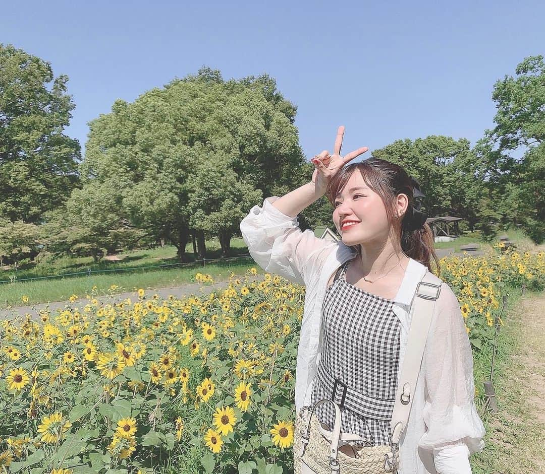 Riicoのインスタグラム：「✌︎✌︎✌︎ ・ 2023🌻 今年もだいすきなひまわりに逢えてHAPPYでした〜っ💛💛癒 ・ チビひまわりも可愛かった🌻♡ ・ #ひまわり畑  #サンフィニティ  #立川　#昭和記念公園  #行ったのは7月30日 #いまもう9月　…🌕🐇笑」