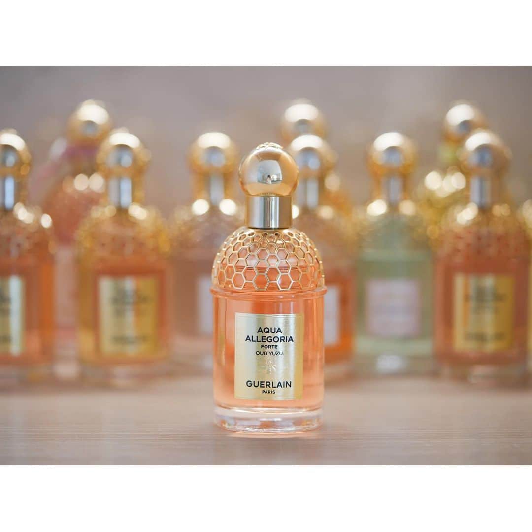 石井美保のインスタグラム：「@guerlain アクアアレゴリア フォルテの新作でこの夏よくつけている香り。  OUD YUZU  フレッシュな日本の柑橘ユズのきらめくようなファセットとパワフルなウードが出会ったシトラスウッディー。」
