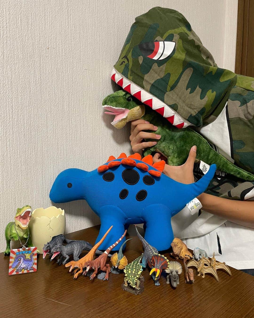 松井大奈さんのインスタグラム写真 - (松井大奈Instagram)「自分の部屋で1番好きな場所は恐竜の人形や、フィギュアがたくさん置いてあるところです🦖 名前の由来が、強くて優しい子に育って欲しいと、ダイナ【ダイナソー】と名付けられました。 生まれてからずっと恐竜が好きで、恐竜グッズを集めるのが趣味になってしまいました。🦖💕   #メンズノンノモデルオーディション2023  #メンズノンノ #松井大奈」9月3日 17時49分 - akvysv