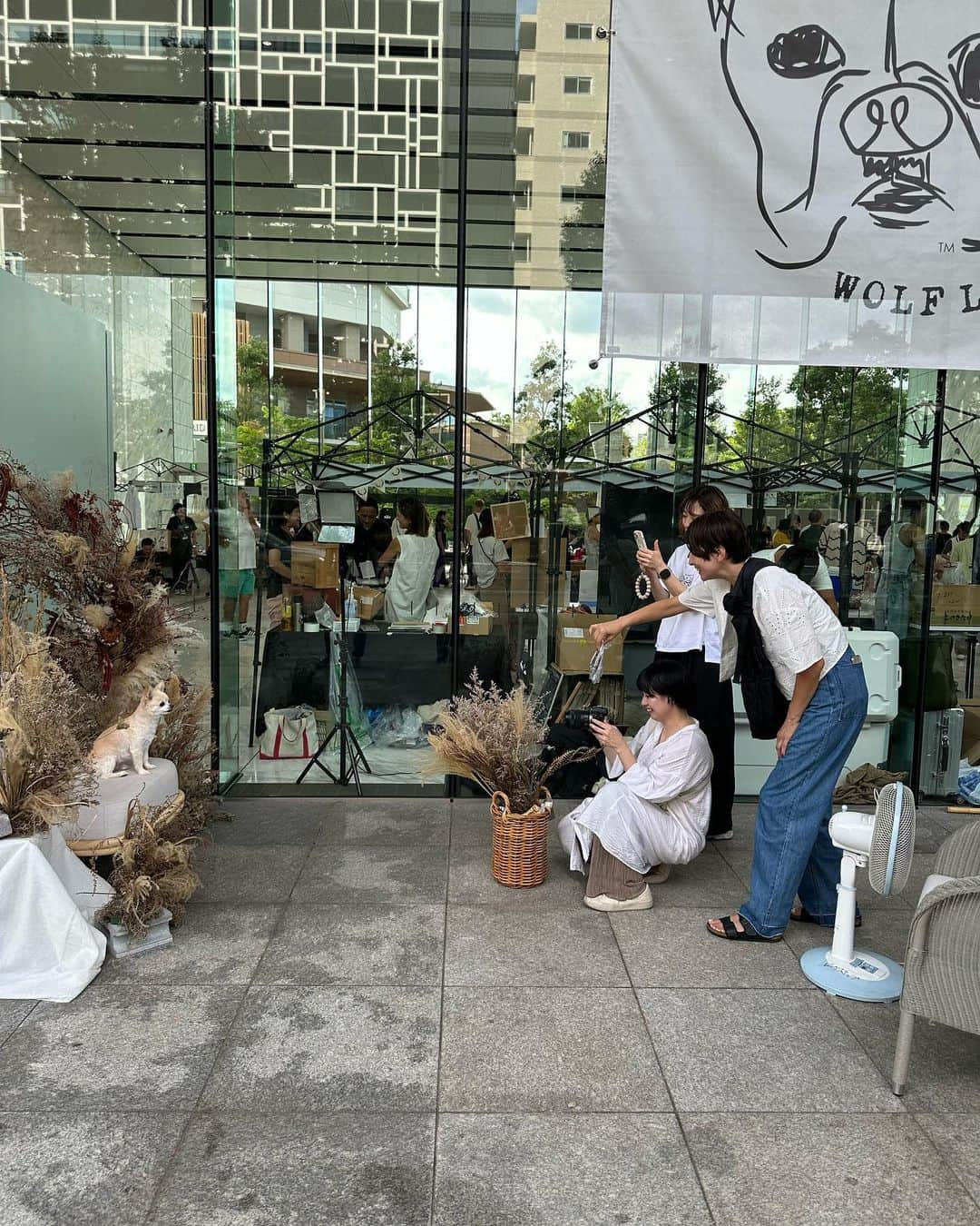 五明祐子のインスタグラム：「昨日　@wolf__lady__ のイベントで おもち🐶プロのカメラマンさんに📸写真を撮っていただきました✨ 飼い主必死姿😂 @naokotani___ が撮ってくれてた😂  この撮影料金も保護犬の活動に充てられるそうです。 譲渡会、かわいい子🐶たちたくさん来ていたな☺️  #保護犬譲渡会#wolfladytattoos」