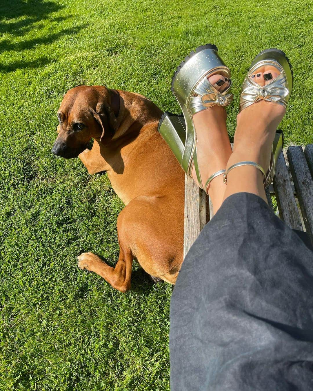 シャーロットオリンピアさんのインスタグラム写真 - (シャーロットオリンピアInstagram)「PJs & Platforms  #CharlotteOlympia #Shoes #Sunday online www.charlotteolympia.com link in bio 🕸️」9月3日 18時10分 - charlotteolympia