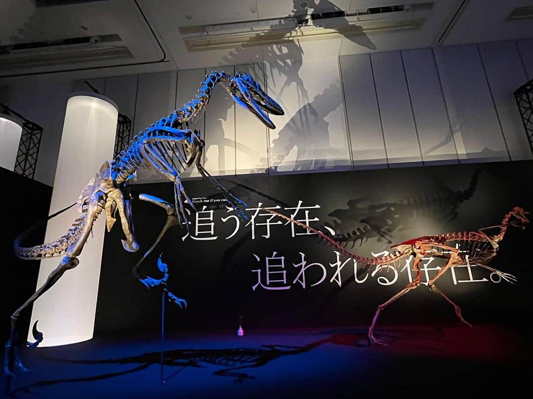 【公式】東京コミュニケーションアート専門学校ECOさんのインスタグラム写真 - (【公式】東京コミュニケーションアート専門学校ECOInstagram)「行ってきました！ Dino Science 恐竜科学博 2023🦕  在校生のツアーガイド付き✨ 引率スタッフも、大変勉強になりました👏  光と影の演出で、躍動感ある恐竜達をたくさん見る事が出来て大興奮の1日でした🦖  9月12日までの開催という事なので、興味のある方はぜひお早めにチェックしてみて下さいね😊  ガイドを担当してくれた学生さん達も、ありがとうございました🤗  ※お知らせ※ 恐竜専攻のアカウントが開設しました🦖 @tca_eco.dino  ↑ぜひ、チェックしてみて下さいね！  . ・－・－・－・－・－・－・－・－・ ⁡ 学校説明会やオープンキャンパスも実施しております🐰🌱 ぜひご参加ください🕊🛰 ⁡ ・－・－・－・－・－・－・－・－・ ⁡ #tca東京eco動物海洋専門学校 #tcaeco #動物 #海洋 #ペット #自然環境 #恐竜 #専門学校 #オープンキャンパス #oc #進路 #動物園 #飼育員 #恐竜科学博 #化石 #古生物」9月3日 18時25分 - tca_eco