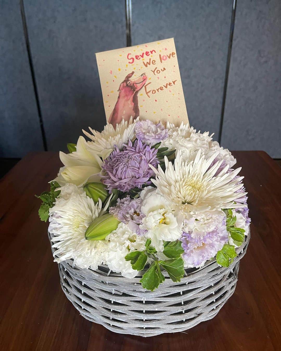 前園真聖のインスタグラム：「お花を買いに行って帰ってきたら、素敵なお花が届いていました！ イラストがとてもセブンに似ています☺️ ありがとう。 #感謝 #シンフォリカルポス #花のある暮らし」