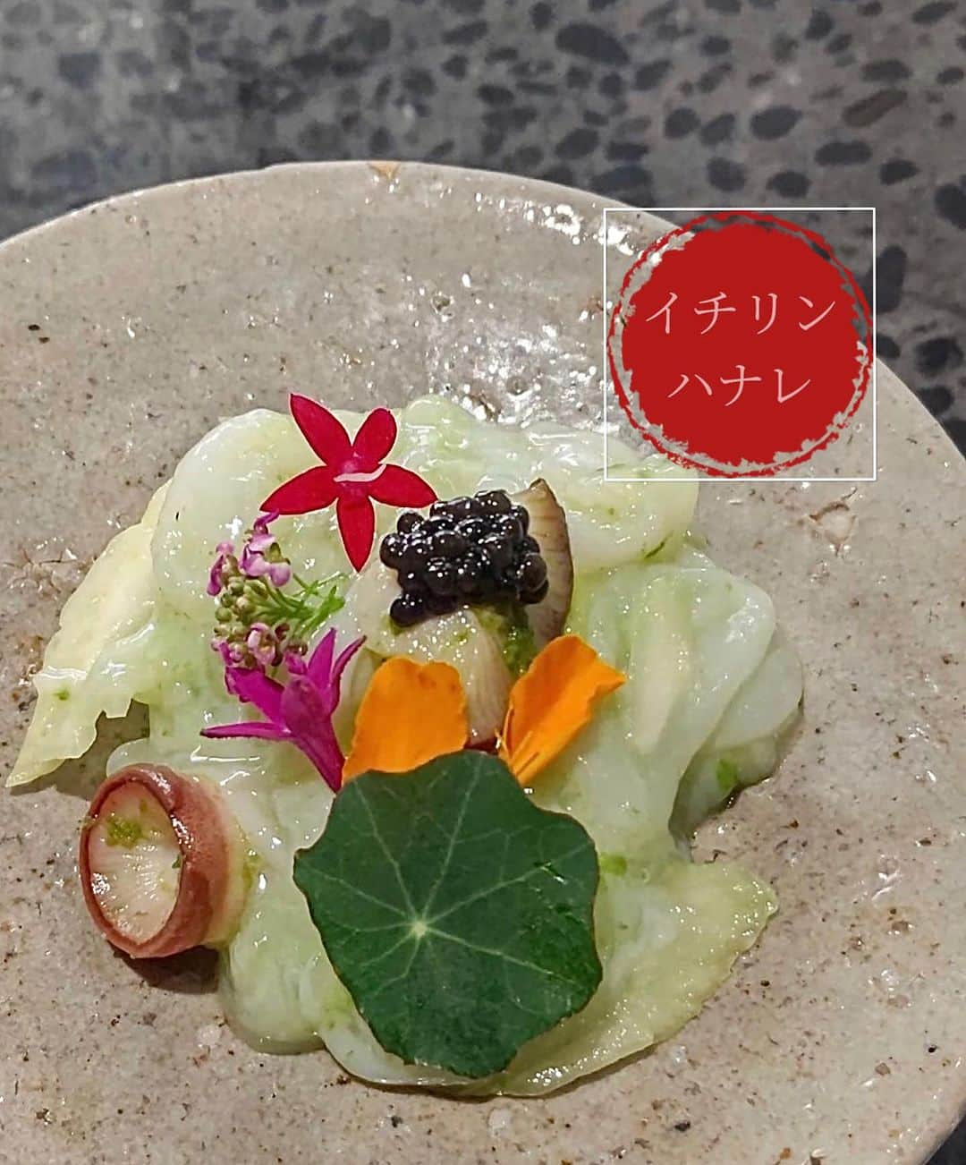 宮崎まこさんのインスタグラム写真 - (宮崎まこInstagram)「イチリンハナレ🦐鎌倉四川料理  爽快感チャイニーズ。 特大フカヒレと風情ある景色🌱 山椒が練り込まれた中華麺が美味しかった！  #イチリンハナレ #イチリンハナレ鎌倉 #四川料理 #鎌倉グルメ #鎌倉 #kamakura #kamakurajapan #中華料理 #中華料理好きな人と繋がりたい #たべものぐらむ #フカヒレ #鱶鰭 #お酒好きな人と繋がりたい」9月3日 19時06分 - makomiyazaki