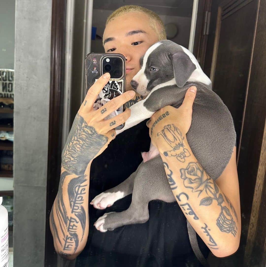 カワグチジンのインスタグラム：「家族が増えました🐶 アメリカンブリーのオス 名前はチョーパンです。」