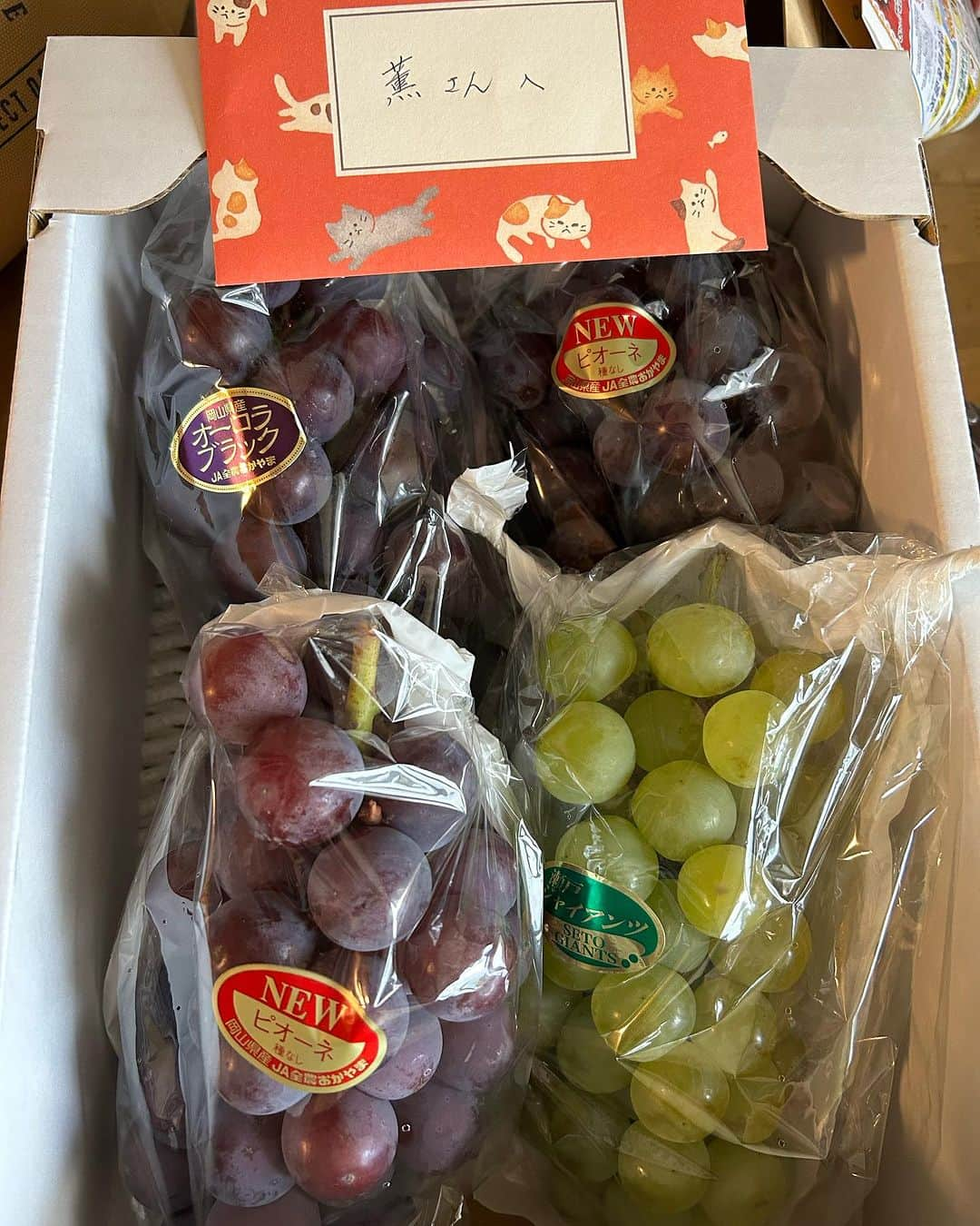 KAORUさんのインスタグラム写真 - (KAORUInstagram)「ブドウ🍇が届きました😊 いつもありがとうございます🥰 #両親 と美味しく頂きます😉  #葡萄  #何度撮ってもこっちを見てくれない父」9月3日 19時30分 - yukisaku_88