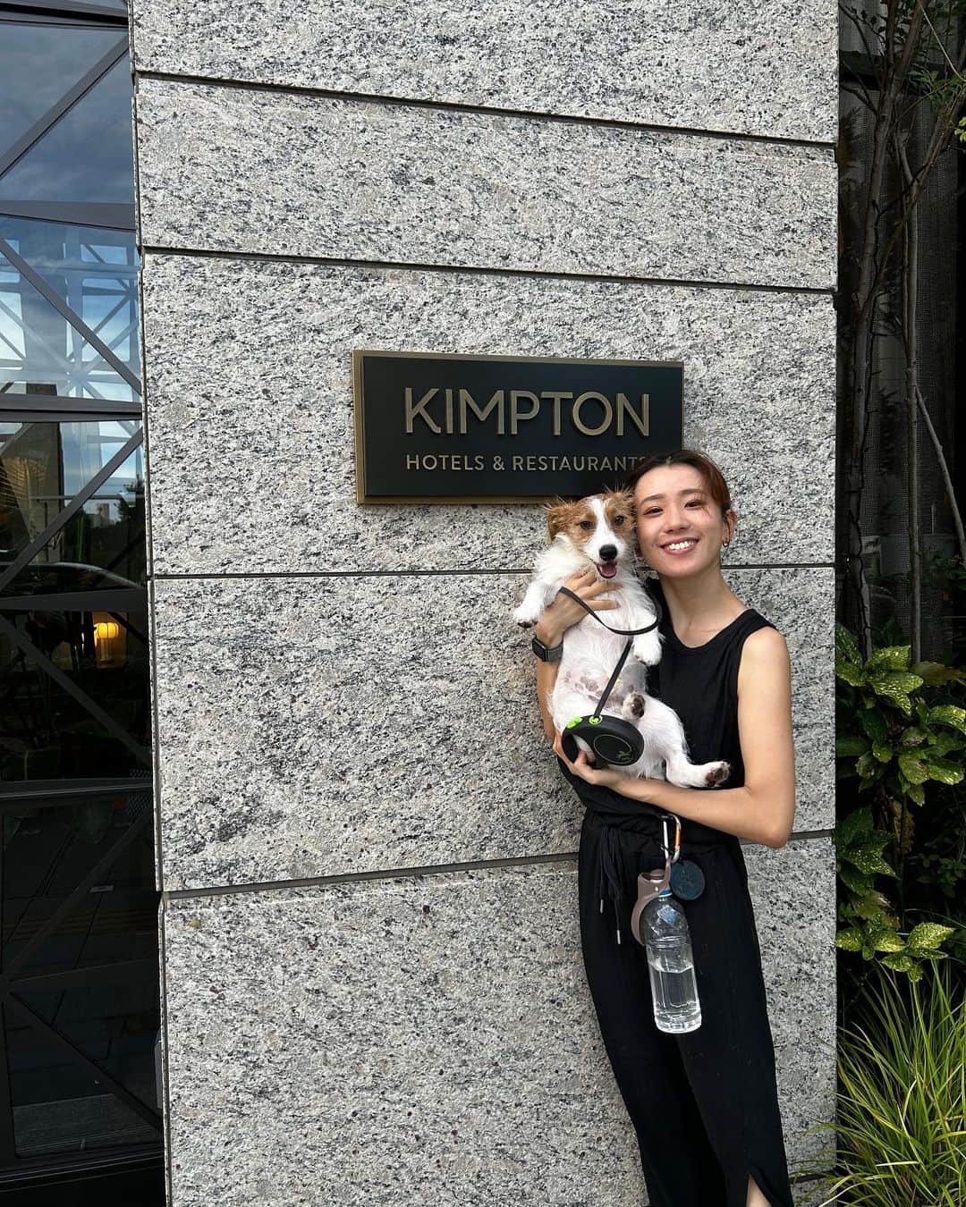 荒木悠衣のインスタグラム：「- 🐶🩷  #jrt #kimptonhotels #新宿カフェ #新宿 #ジャックラッセルテリア #犬のいる暮らし」