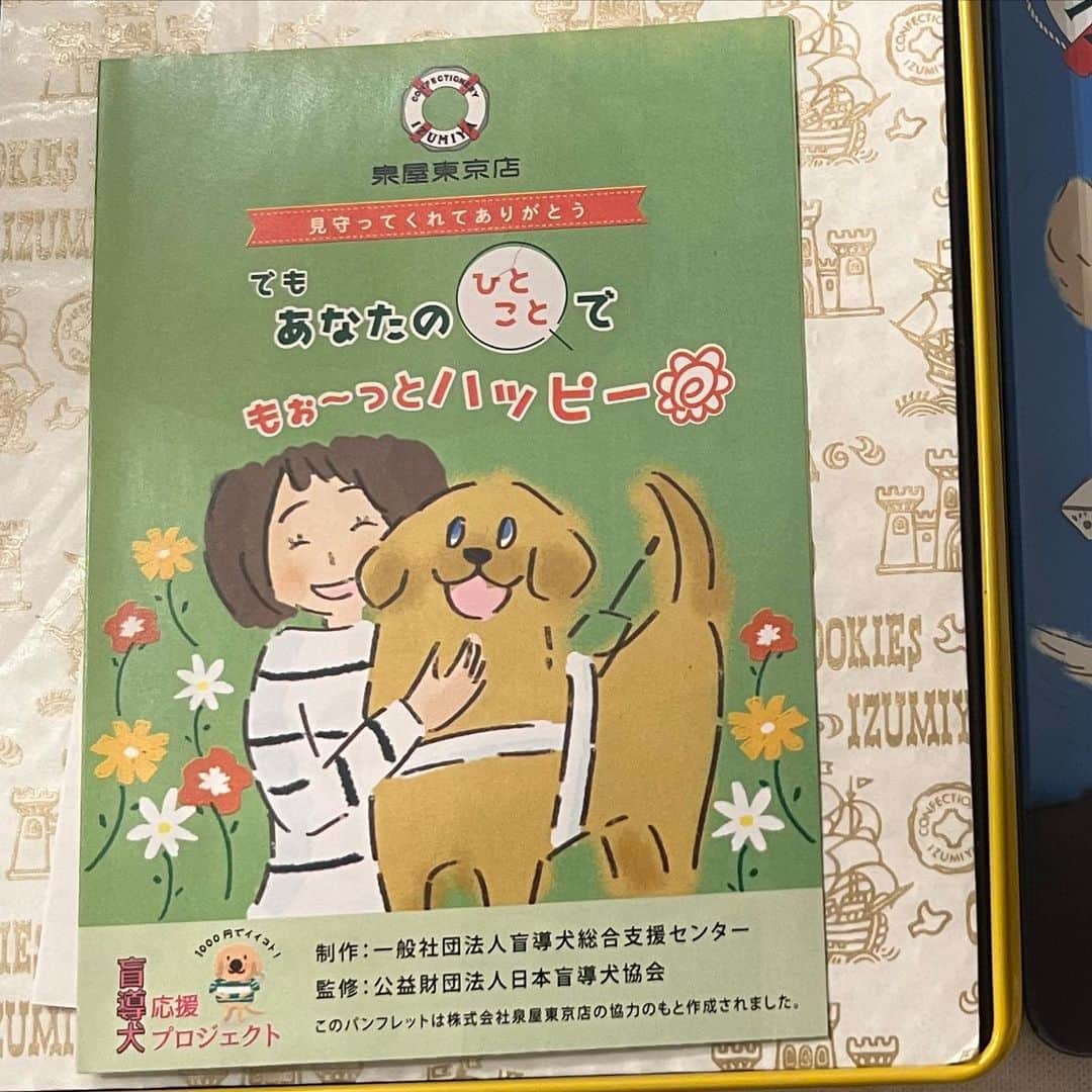 岩崎宏美さんのインスタグラム写真 - (岩崎宏美Instagram)「クッキーの泉屋東京店さんが行ってる盲導犬応援プロジェクト❣️ この可愛い缶に描かれたワンチャンを見て、ワンチャンと生活している私にも送ってくださいました。 泉屋さんのクッキー懐かしい味 美味しいですよね。 ぜーんぶ食べても、この缶は大切に使います‼️ ヨッコありがとう😊❤️ シンバには、あげませんよ〜 #泉屋東京店スペシャルクッキーズ  #クッキー #盲導犬 #金野容子 #岩崎宏美」9月3日 19時46分 - hiromiiwasaki_official