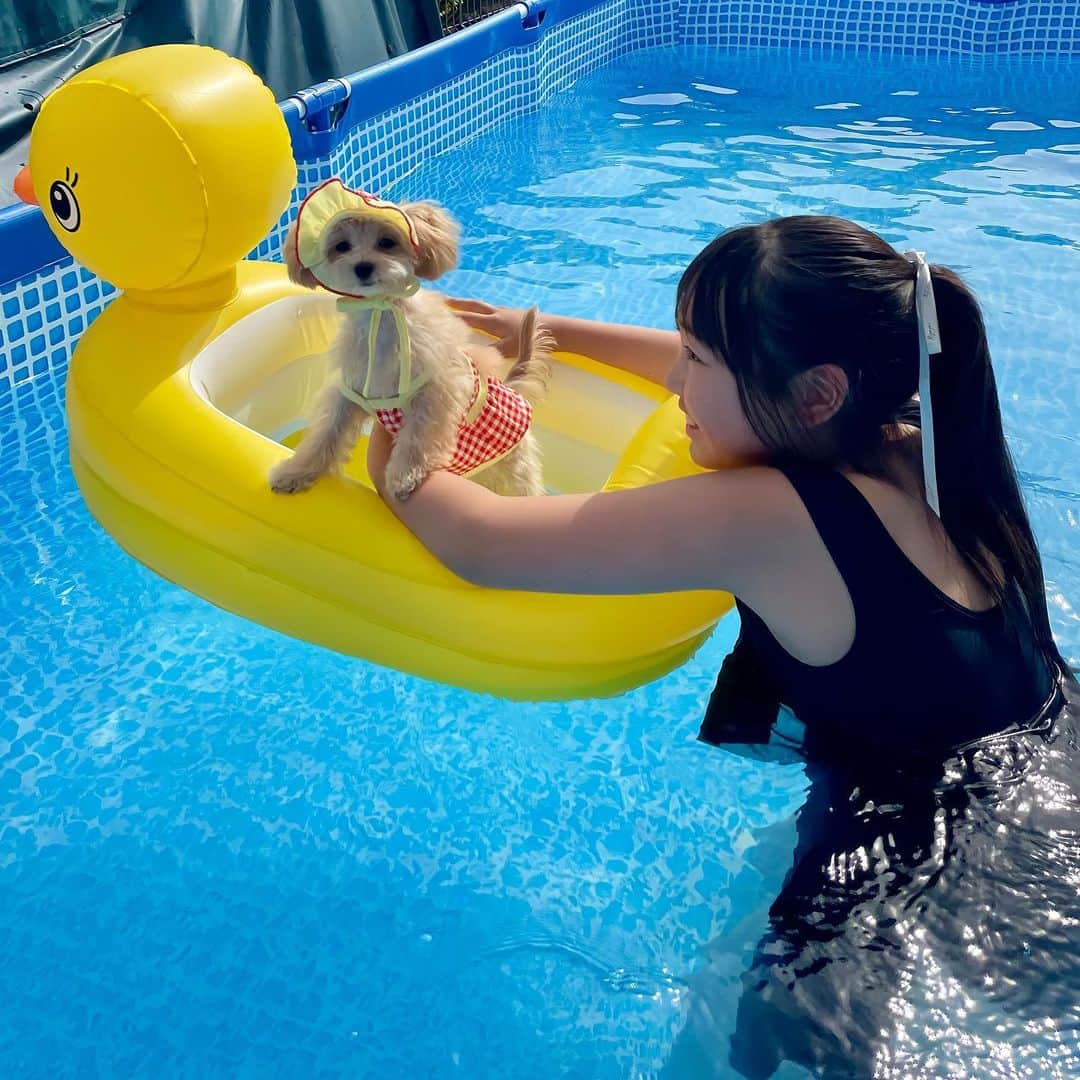 かなのインスタグラム：「． 🛳️おもち船長と杏奈の夏休み🐣⛱️ ． ． #最後#乗りたかったんかーい。笑 ． ． #プール#おうちプール#マルプー#maltipoo#pool」