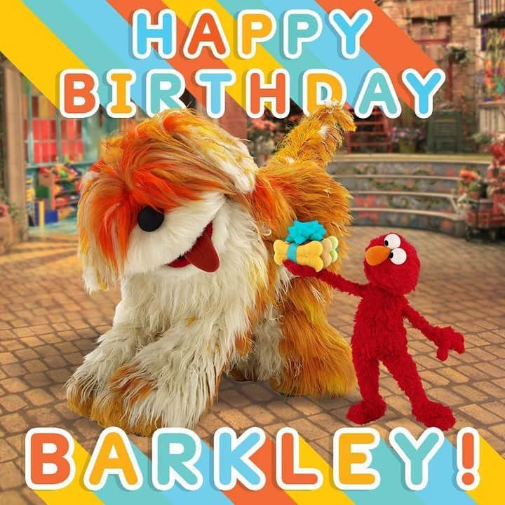 セサミストリートさんのインスタグラム写真 - (セサミストリートInstagram)「お誕生日おめでとう、バークレー！セサミストリートみんなでお祝いするよ！  #HappyBirthdayBarkley #Elmo #エルモ」9月3日 20時00分 - sesamestreetjapan