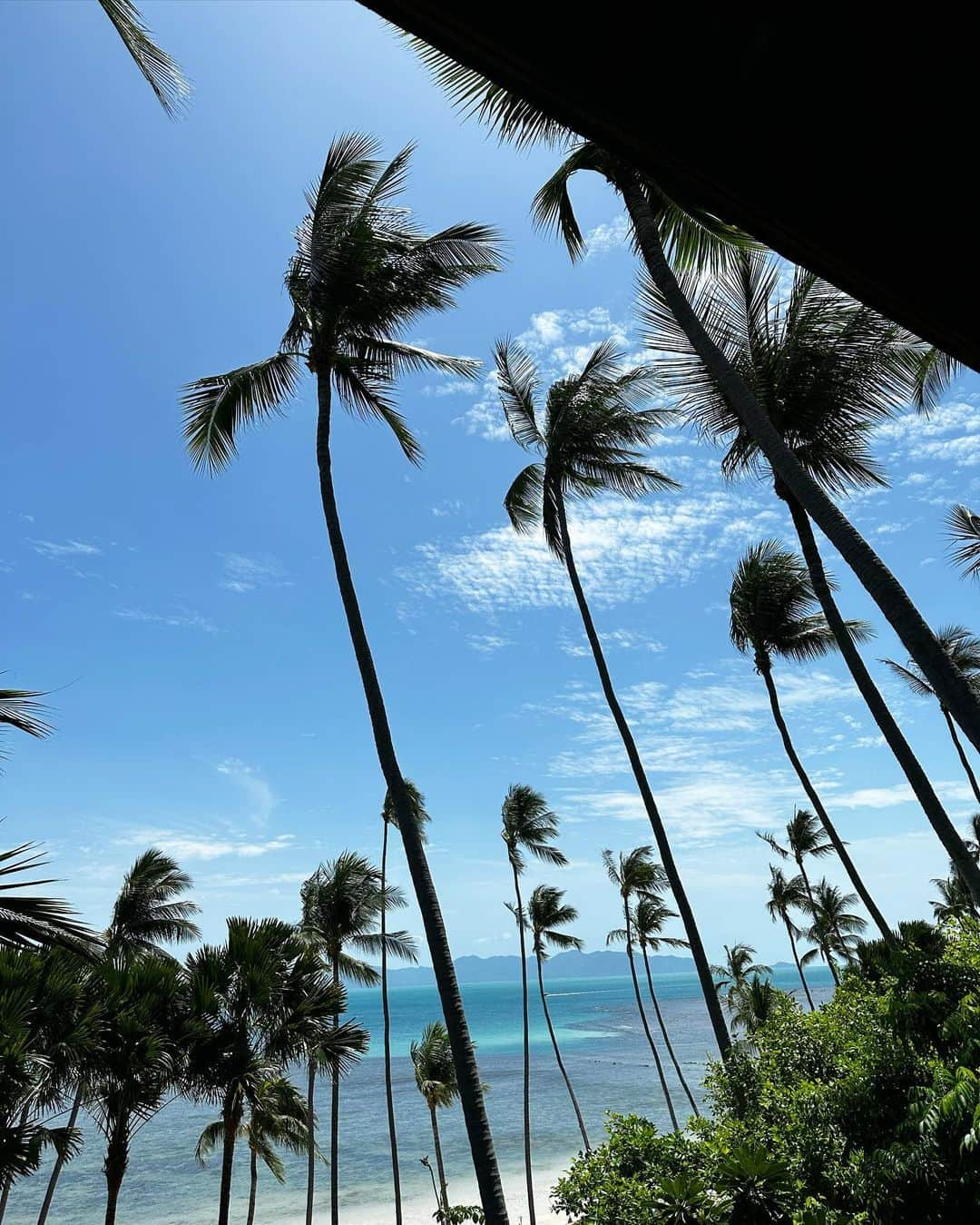 佐達ももこさんのインスタグラム写真 - (佐達ももこInstagram)「Four Seasons Resort Koh Samui🌴  本当に最高のホテルでした🤍  ホスピタリティもお食事もすべて最高で また絶対に泊まりたい🌺  #fourseasons#fourseasonshotel#fourseasonsresort#kohsamui#samui#samuiisland#fourseasonsresortkohsamui#サムイ島#フォーシーズンズ#フォーシーズンズホテル」9月3日 20時11分 - sadamomodayo