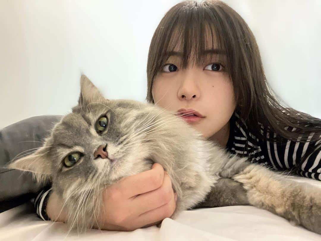 竹内花のインスタグラム：「うるさんとごろんしてる時間がとっても幸せ〜🐈‍⬛🖤🤍 そろそろ顔似てきたかな〜？ 猫顔の子好きだしうるさん顔良すぎるから似たい、、笑  #うるさん #ねこすたぐらむ #ねこのいる生活 #猫 #ねこのきもち #オフショット」