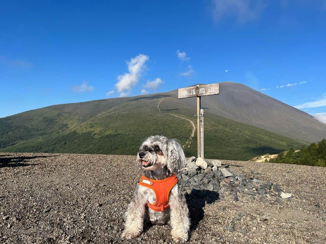 今井胡桃さんのインスタグラム写真 - (今井胡桃Instagram)「お久しぶりの⛰🐶❤️  #burton #burtonjapan #anonoptics」9月3日 20時29分 - kurumi924