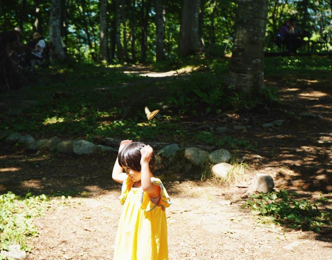 鶴田真梨のインスタグラム：「夏休みは家族で白馬村へ🏔 子供達の頭に蝶々が寄ってきて可愛かった🦋  娘はテンションが上がって食べすぎてしまいお腹を壊して早めに帰宅。（娘の旅行あるある）おすすめスポットを教えてもらったのに満喫できず涙笑　またゆっくりいきたいな🌲  #白馬村」