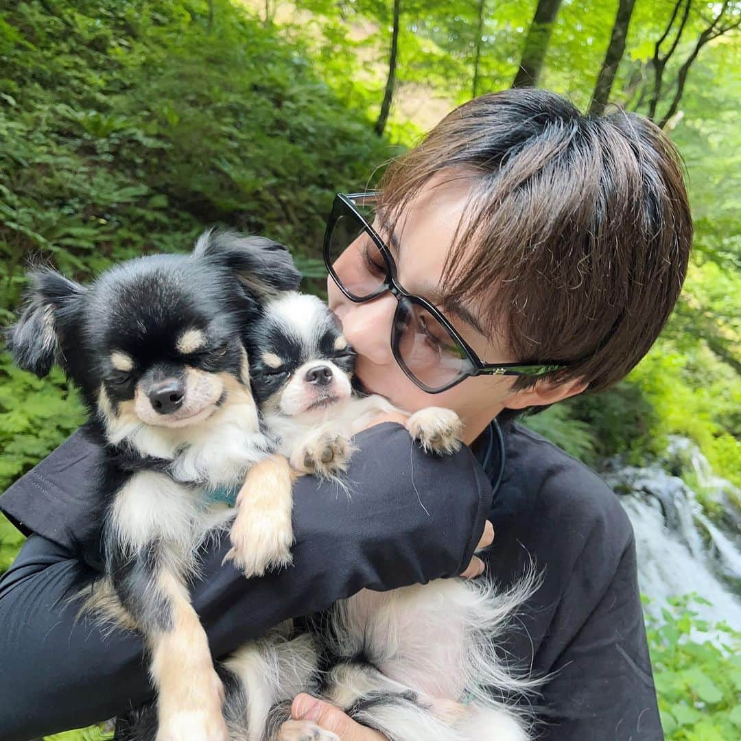 車谷セナさんのインスタグラム写真 - (車谷セナInstagram)「愛犬と散歩」9月3日 20時48分 - senakurumatani