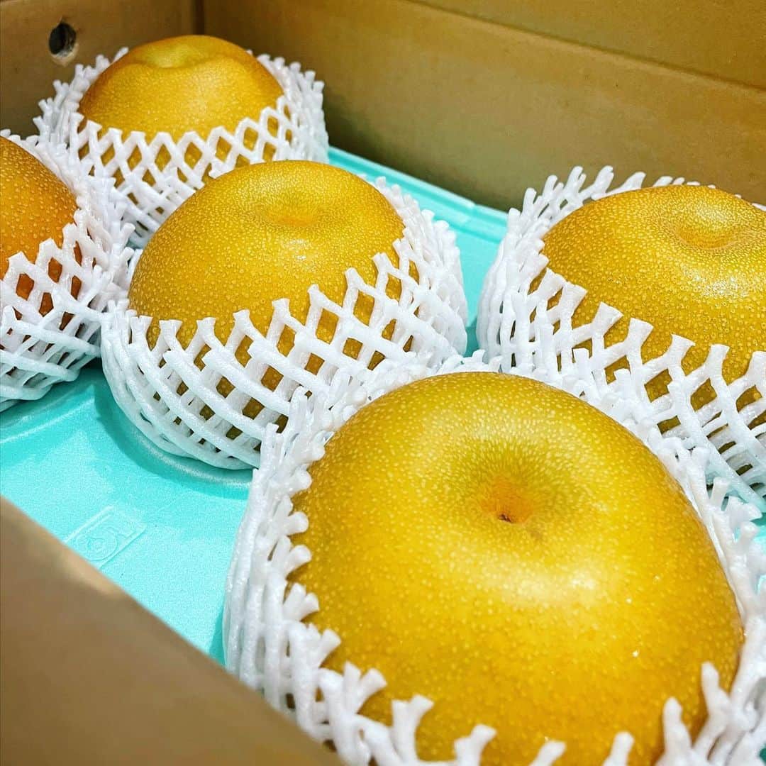 長江愛美のインスタグラム：「美味しすぎてびっくり🍐🫢 艶がすごい！！！ そして、めっちゃ大きい！！！  人生で食べた梨の中でNo. 1に美味しかったです💛🥰  皮も甘い💛  #梨 #与佐ヱ門  #美味しすぎ #ありがとうございました #💛」