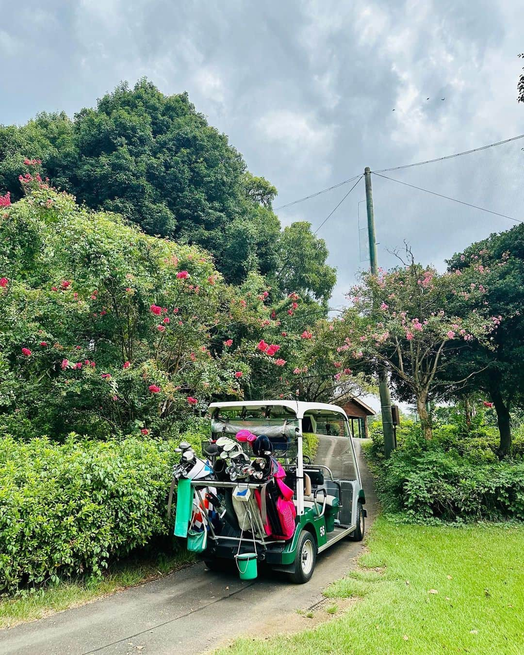 郡司恭子のインスタグラム：「* 同期ラウンド⛳️  みんなスイングもルーティンも 全然変わってないし🏌️‍♀️ プレー速いし、掛け声ばっちりだし😂笑  80台で回れてよかった…😮‍💨  #ゴルフ女子 #ゴルフ #体育会ゴルフ部 #同期 #ラウンド  #golf #golfswing #golflife  #日本テレビ #日本テレビアナウンサー #アナウンサー #郡司恭子」