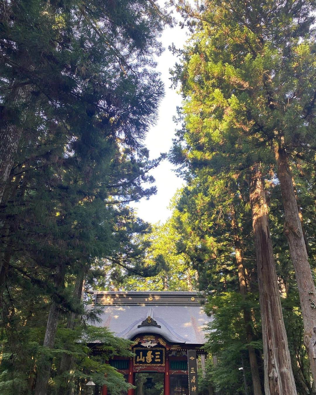 上野優華のインスタグラム：「私には珍しく日の出前からパワーを貰いに出かけてきました🌅  自然に囲まれて幼少期を過ごしていたから 大自然にあまり感動って無かったんだけど、やっぱり自然には不思議な力がある気がする今日この頃。  悪いものを吸い寄せてしまうのも自分のマインドの問題な気がするので、しっかりリフレッシュして小さくても大切にしたいな、とか 幸せだなっていう瞬間に気づける毎日を過ごせるような気持ちに変えてくれた🌈🌈🍀  でもしっかり厄除けのお守りをゲット。 悪いものは私の人生には要らないのでグッバイ👋  #パワースポット #朝活 #神社 #三峯神社 #日の出 #朝日 #厄除け #お守り #大自然 #自然浴」