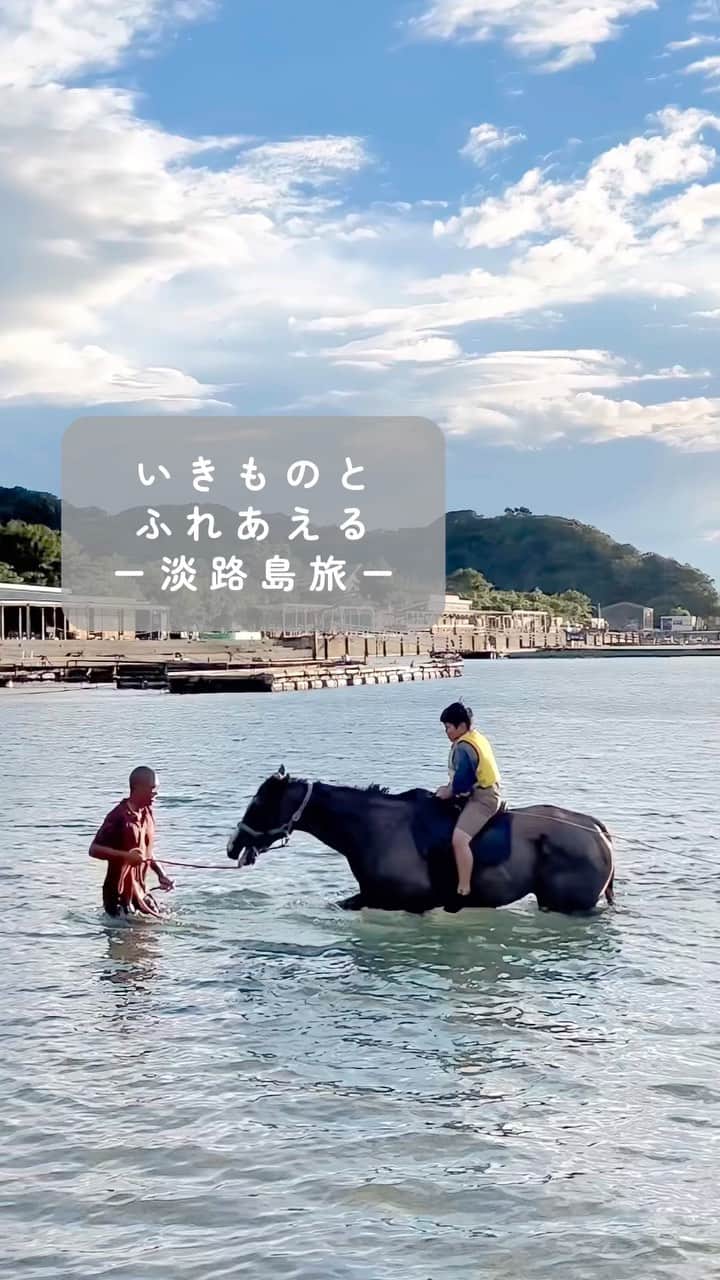 きなこのインスタグラム：「去年行ってとっても楽しかったので、来年も絶対行きたい！と計画をたて行ってきました。淡路島にある「じゃのひれアウトドアリゾート」✨  イルカや馬たちとふれあえたり、釣りもできるし、生き物大好きな息子お気に入りのスポット☺️  イルカタッチや馬とのお散歩などふれあいは年中できるのですが、馬と一緒に海に入って泳げる体験は9月いっぱいまでの夏限定。なかなか他ではできない貴重な経験をさせてもらい、ますます生き物が大好きになった息子です👦 小柄で可愛いポニーも、大きくて力強いサラブレッドたちも、みんなとっても可愛い🥰 サラブレッドたちは元々競走馬として活躍し人気だった子達。引退後はここでお客さんを乗せ、新たな活躍をしているそう🐴  今回泊まったコテージがとても良かったので、また次回紹介します🌿  #淡路島 #淡路島観光 #じゃのひれ #きなこのおでかけきろく #こどもとおでかけ #小学生 #小学生男子 #育児 #子育て #こどもと暮らす #子連れ旅行」