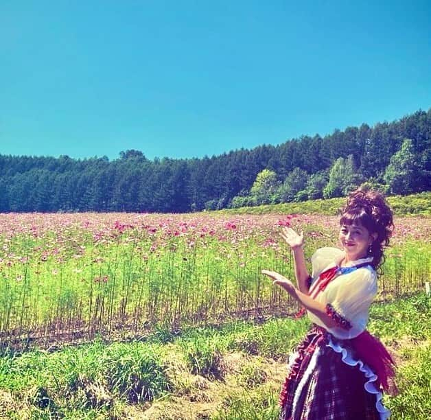 浅香唯さんのインスタグラム写真 - (浅香唯Instagram)「北海道💕 北海道は遠軽町にお邪魔しました😊 太陽の丘コスモスフェスタ2023に出演させていただきましたよ✨  秋桜に囲まれて、一足お先に秋の気配を感じれるなんてステキ💓と思ってたけど…  いやいや、ステージ中も驚くほどめちゃくちゃ暑くて…息切れ寸前の私でした🥵 でも何より会場に来ていたお客さまの方が心配だったよ〜💦ずっと炎天下だったしね😫 皆さん、無事であったことを願います🙏  あまりの暑さにコスモスもまだ六部咲きらしいけど、コスモス一面の広場は迫力あって綺麗だったな〜✨ そうそう、コスモス広場にある「愛の鐘🔔」も鳴らしてきた〜😁愛と平和を願って💕  青空もキレイで空気も美味しくて、ご飯も美味しくて、何より遠軽町の人が優しくて😊 ホントに良い一日でした🥰  遠〜くから足を運んでくれたファンの皆様も〜💖応援ありがとうございました🎉 うん‼️心強かった🤩👍  #浅香唯  #北海道 #遠軽町  #太陽の丘  #コスモスフェスタ #秋の気配  #まだまだ暑い  #ありがとう #感謝」9月3日 21時24分 - yui_asaka_official