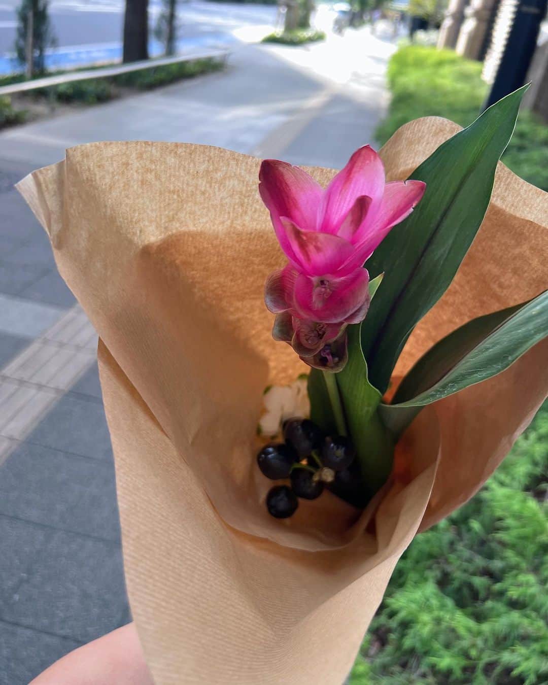 Julia Castroのインスタグラム：「思い出ショット💐  全部大切な時間。 . #summer #photography #memories #summertime  #夏の思い出 #夏の終わり #思い出たち #julistagram」