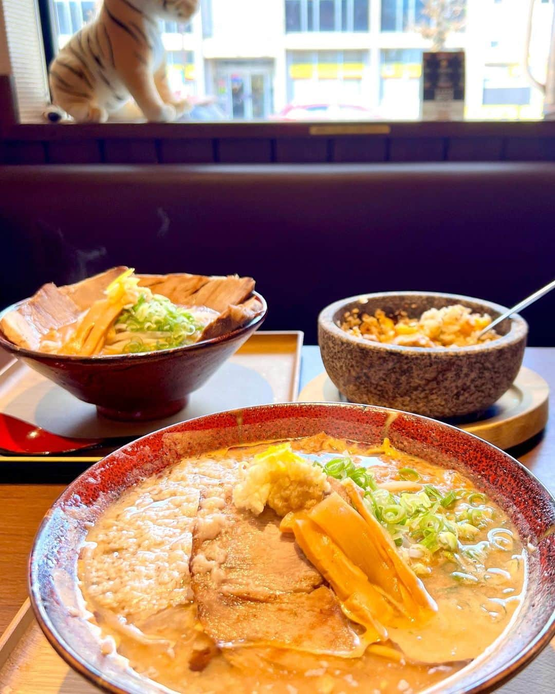 ミシェリマリコのインスタグラム：「今日のランチ😋✨  * * 今日は家族で愛知県安城市にある @raamen_tiger さんに行ってきました♪  店内はカウンター席とテーブルがあって、今回は家族で行ったのでテーブル席に座ったよ🥺✨ 駐車場も沢山あるから行きやすい✨  今回私が食べたのは炙り焼チャーシュージンジャータイガー🐅✨ ニンニクと生姜が効いていて濃厚❤️麺とスープの味がマッチして絶品でした♪ チャーシューも分厚くて食べ応え抜群😋✨  食後のレモンシャーベットが凄くさっぱりしていて、口の中が爽やか✨  くせになる美味しさ😍✨  🔻住所🔻 愛知県安城市城南町1-3-9一階 札幌らーめん　ジンジャータイガー  * *  PR @raamen_tiger #ジンジャータイガー #安城ラーメン #愛知ラーメン #安城グルメ #ラーメングルメ #グルメ #愛知グルメ #ラーメン #ラーメン好き #ラーメン女子 #三河 #三河グルメ #安城ランチ #三河ランチ #三河ラーメン」