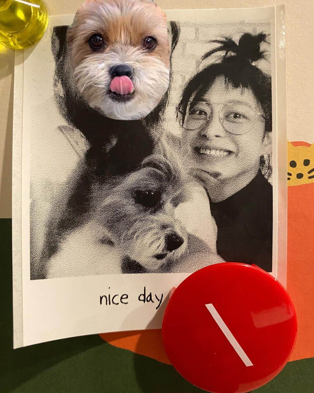 パク・ヒボンさんのインスタグラム写真 - (パク・ヒボンInstagram)「sᴜɴᴅᴀʏ🐶sᴜɴᴅᴀʏ🌻ɴɪᴄᴇ ᴅᴀʏ🍝  #alwayshappy with #우도출신집시강생이 #바람의똘히피박바야바푸랑소와윤」9月3日 22時00分 - heevonne