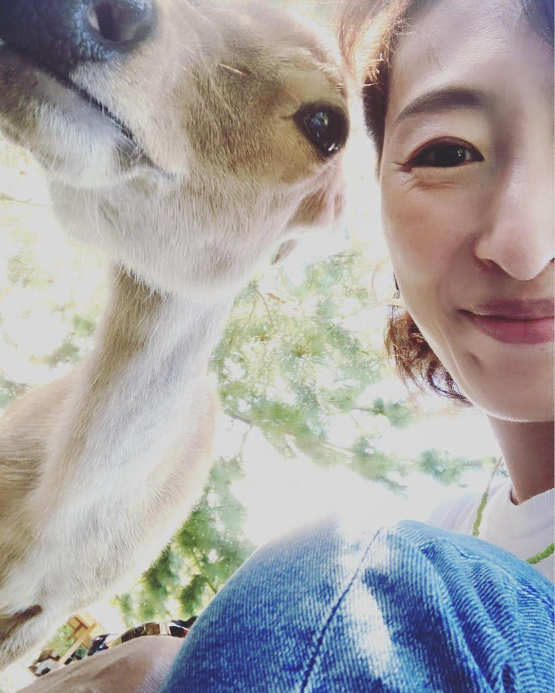 蓮水ゆうやのインスタグラム：「「鹿と自撮りオカン」  何年ぶりだろうか奈良の鹿🦌 相変わらず鹿せんべいを追いかけておった。 娘、囲まれて泣きました😂 しばらく鹿はいいそうです笑  #奈良の鹿 #奈良の大仏」