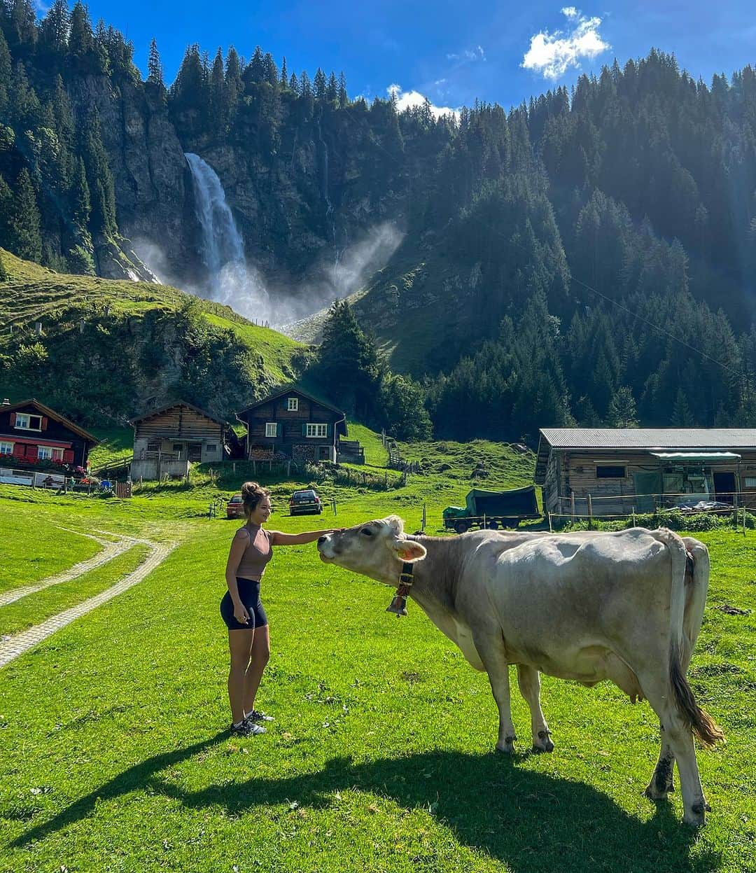 ニコルさんのインスタグラム写真 - (ニコルInstagram)「Natureza 🐮🌳❤️」9月3日 22時16分 - nicoletulcheski