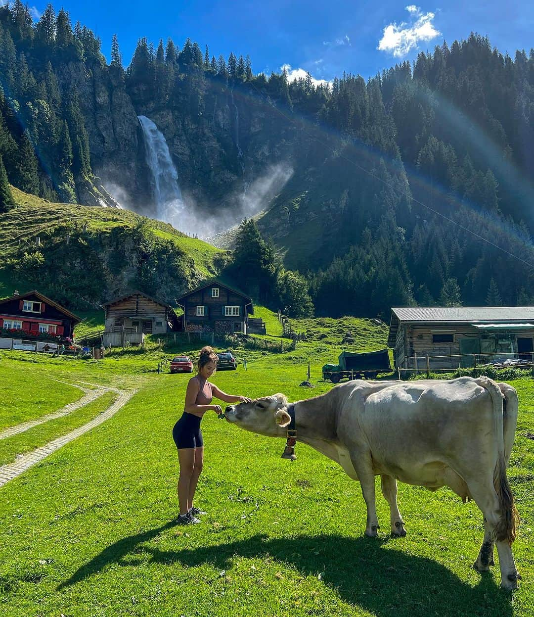 ニコルさんのインスタグラム写真 - (ニコルInstagram)「Natureza 🐮🌳❤️」9月3日 22時16分 - nicoletulcheski