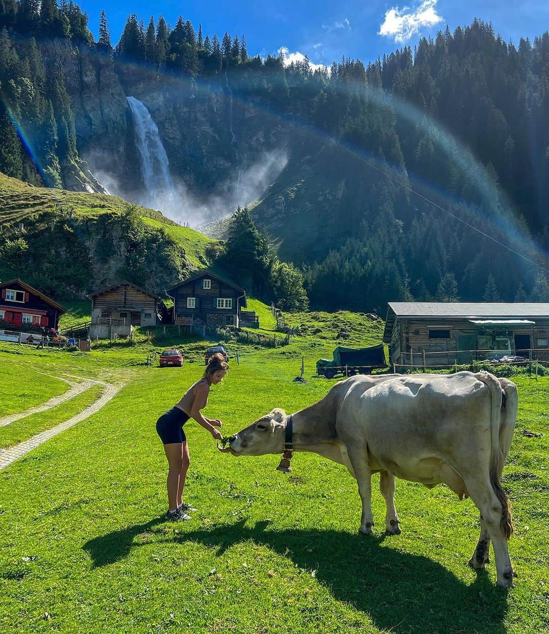 のインスタグラム：「Natureza 🐮🌳❤️」