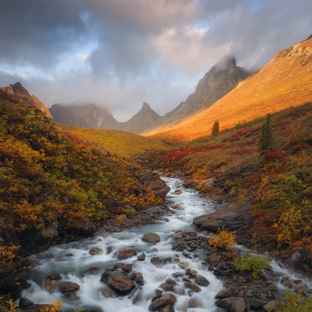 アメリカ内務省さんのインスタグラム写真 - (アメリカ内務省Instagram)「Wilderness is wild, unspoiled and untouched. It offers visitors a place to seek relaxation, adventure and solitude.   Happy Birthday to the Wilderness Act of 1964. President Lyndon B. Johnson signed this Act into law "...for the permanent good of the whole people" and it helps the land retain its unique character and influence.   Photo at Gates of the Arctic National Park and Preserve by Matt Meisenheimer  Alt Text: Light from a sunrise shines on an arctic tundra landscape with towering mountain peaks and dark green, golden yellow and red foliage in the foreground. A rushing river with rocks winds through the landscape.」9月3日 22時30分 - usinterior