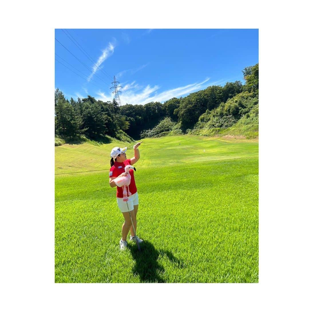 淺井咲希さんのインスタグラム写真 - (淺井咲希Instagram)「フラミンゴ🦩🦩  (@junandrope )」9月4日 8時32分 - asaisakidesu