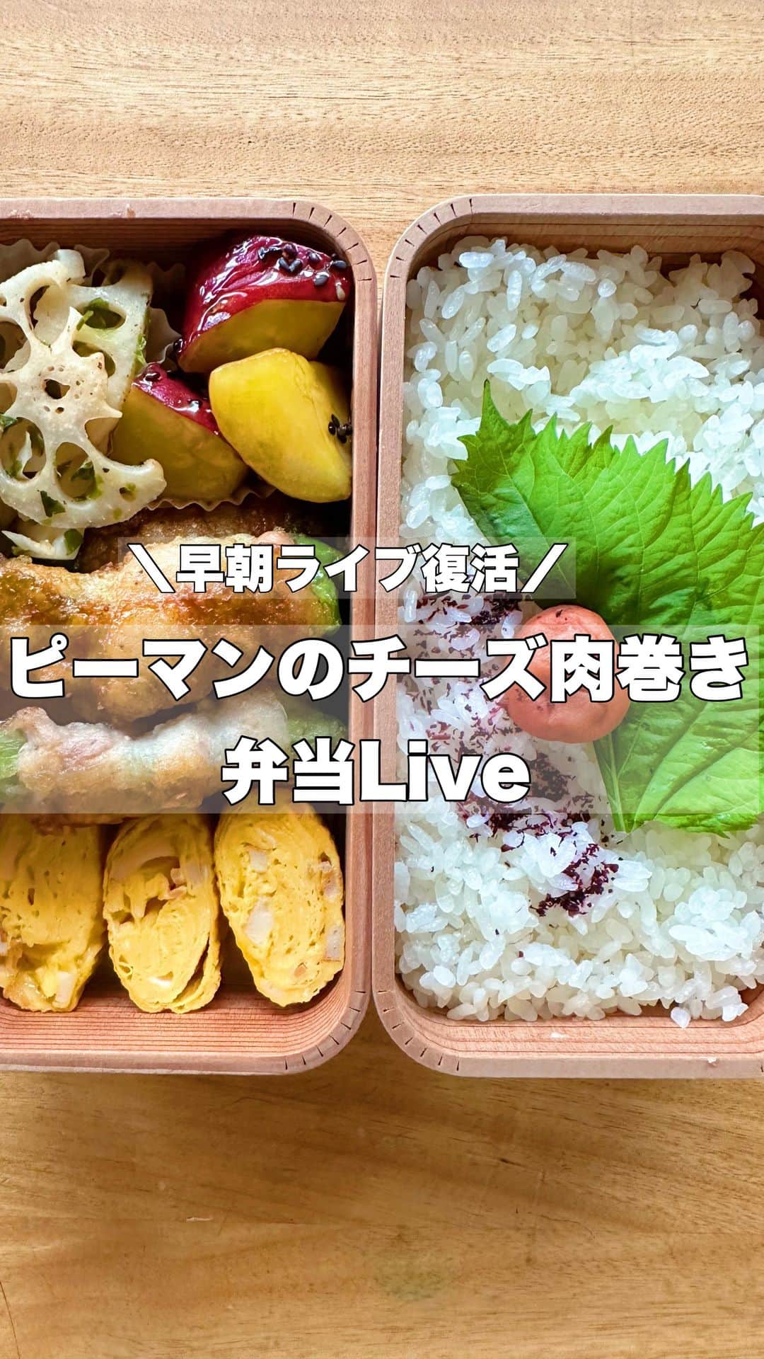 お弁当作りのアヤコのインスタグラム：「お久しぶりです！ 長い夏休みが明けて、お弁当ライブ復活しました🍱  夏休み中はそぼろ、ガパオライス、オムライスばっかり作っていましたが、また色々副菜を入れた彩り弁当も作っていきたい🤗 これからもよろしくお願いしますー！  ライブ中に質問いただいたキッチン用品は、ストーリーズに貼りますのでそちらもぜひみてくださいね❣️ @ayakitchen123 ←ここからプロフィール飛んでストーリーに行けます🩷  #お弁当 #アヤコ弁 #お弁当ライブ #ピーマン #二段弁当」