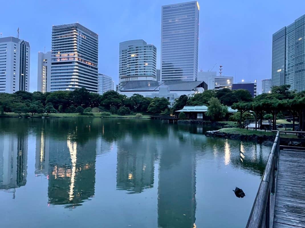 依田司さんのインスタグラム写真 - (依田司Instagram)「9月4日（月） 浜離宮恩賜庭園から。 広大な日本庭園の中央に位置する「潮入の池」は都内にある江戸の庭園では、唯一現存する海水の池です。東京湾の水位の干満に従って水門を開閉し、池の水の出入りを調整しています。池にはボラをはじめ海水魚も生息していて、朝から元気にぴょんぴょん跳ねていました。 また、お花畑では、ビル群を背景に、およそ２０万本のキバナコスモスが見ごろを迎えています。鮮やかな色合いが素敵。見頃は今月中旬頃まで。  #浜離宮恩賜庭園 #依田さん #依田司 #お天気検定 #テレビ朝日 #グッドモーニング #気象予報士 #お天気キャスター #森林インストラクター #グリーンセイバーアドバンス #プロジェクトワイルド #IPCC伝導者 #japan #japantrip #japantravel #unknownjapan #japanAdventure #japanlife #lifeinjapan #instagramjapan #instajapan #療癒 #ilovejapan #weather #weathercaster #weatherforecast」9月4日 8時54分 - tsukasa_yoda